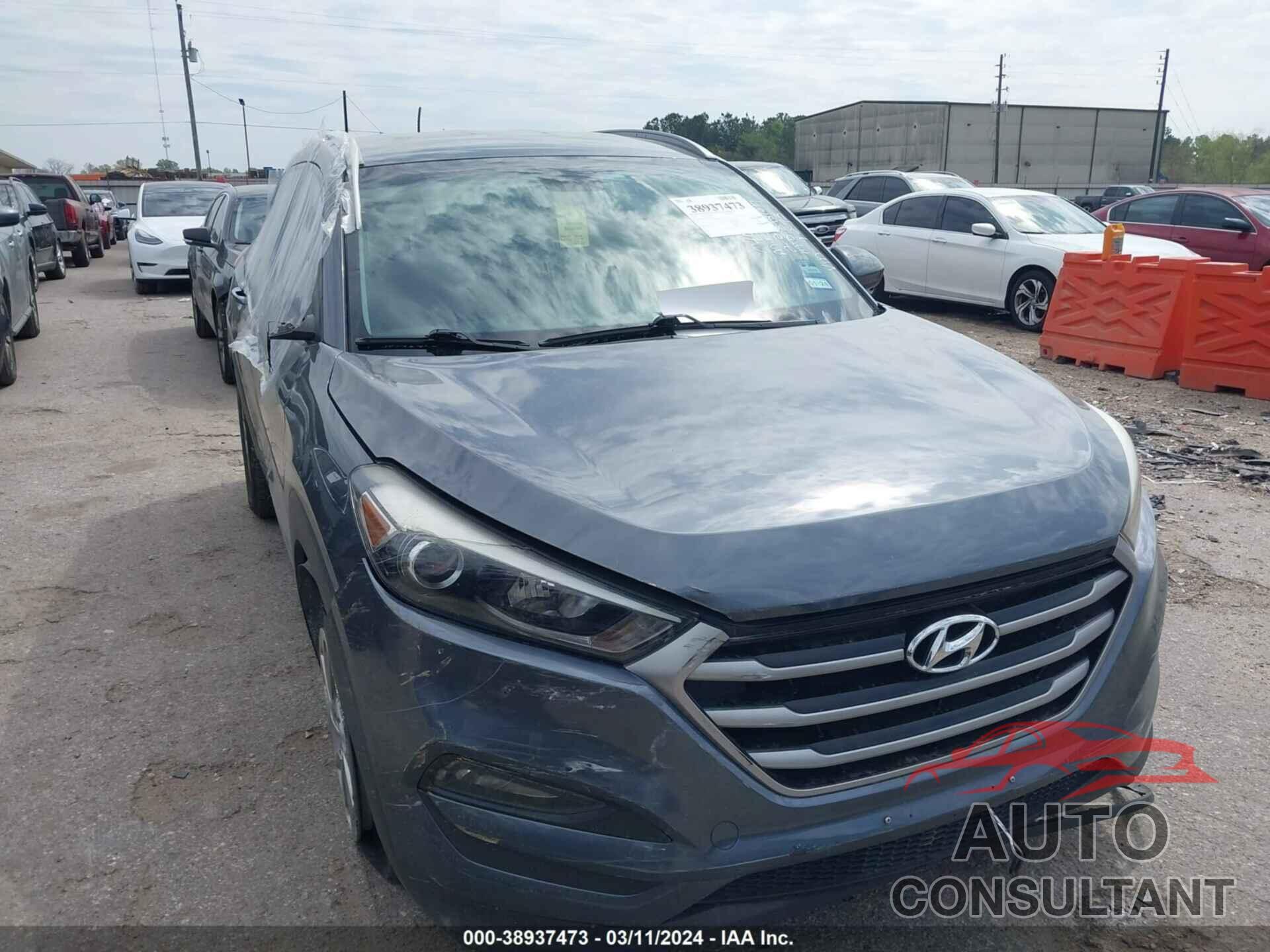 HYUNDAI TUCSON 2017 - KM8J33A43HU499293