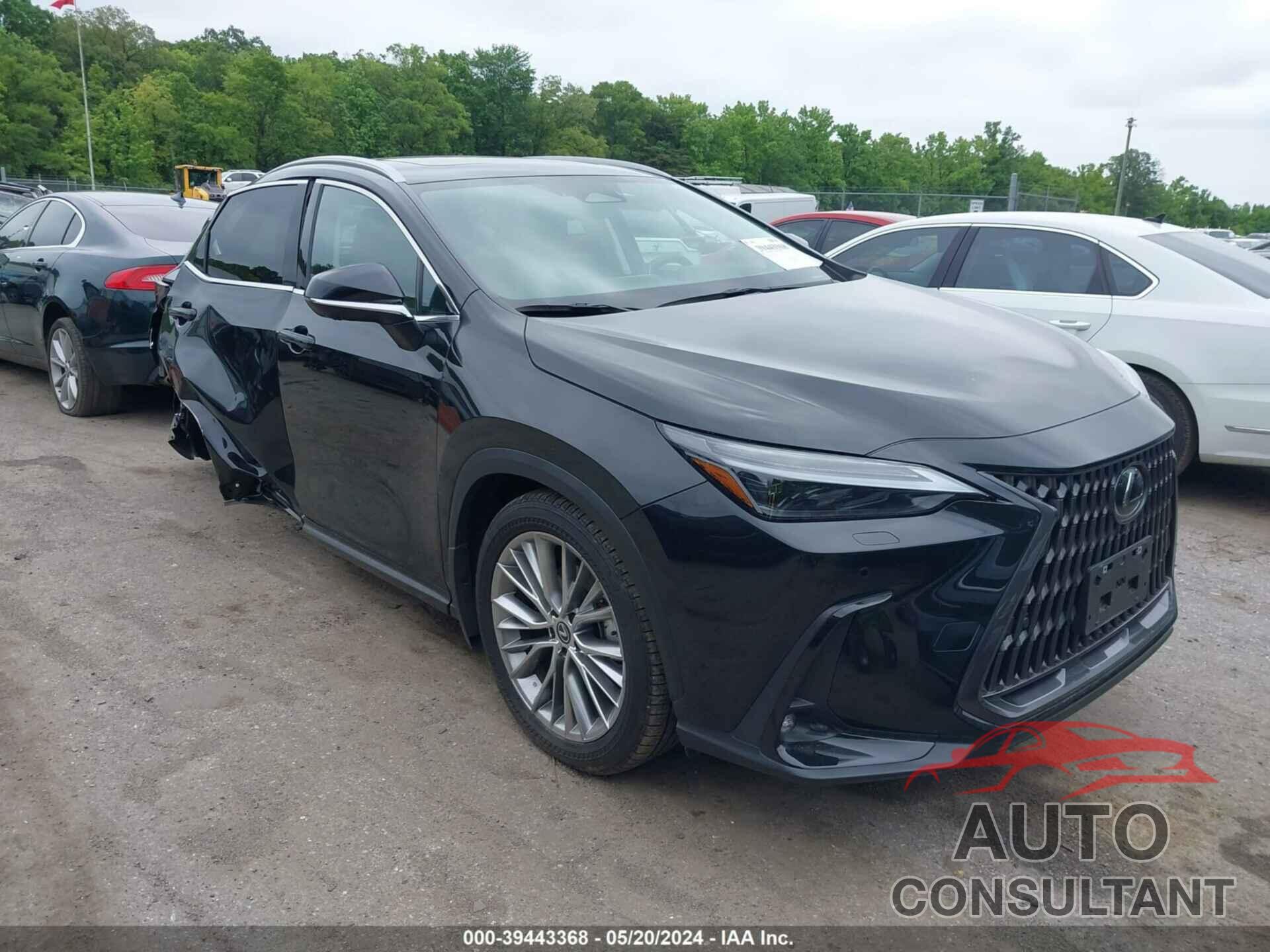 LEXUS NX 350 2024 - 2T2HGCEZXRC032704