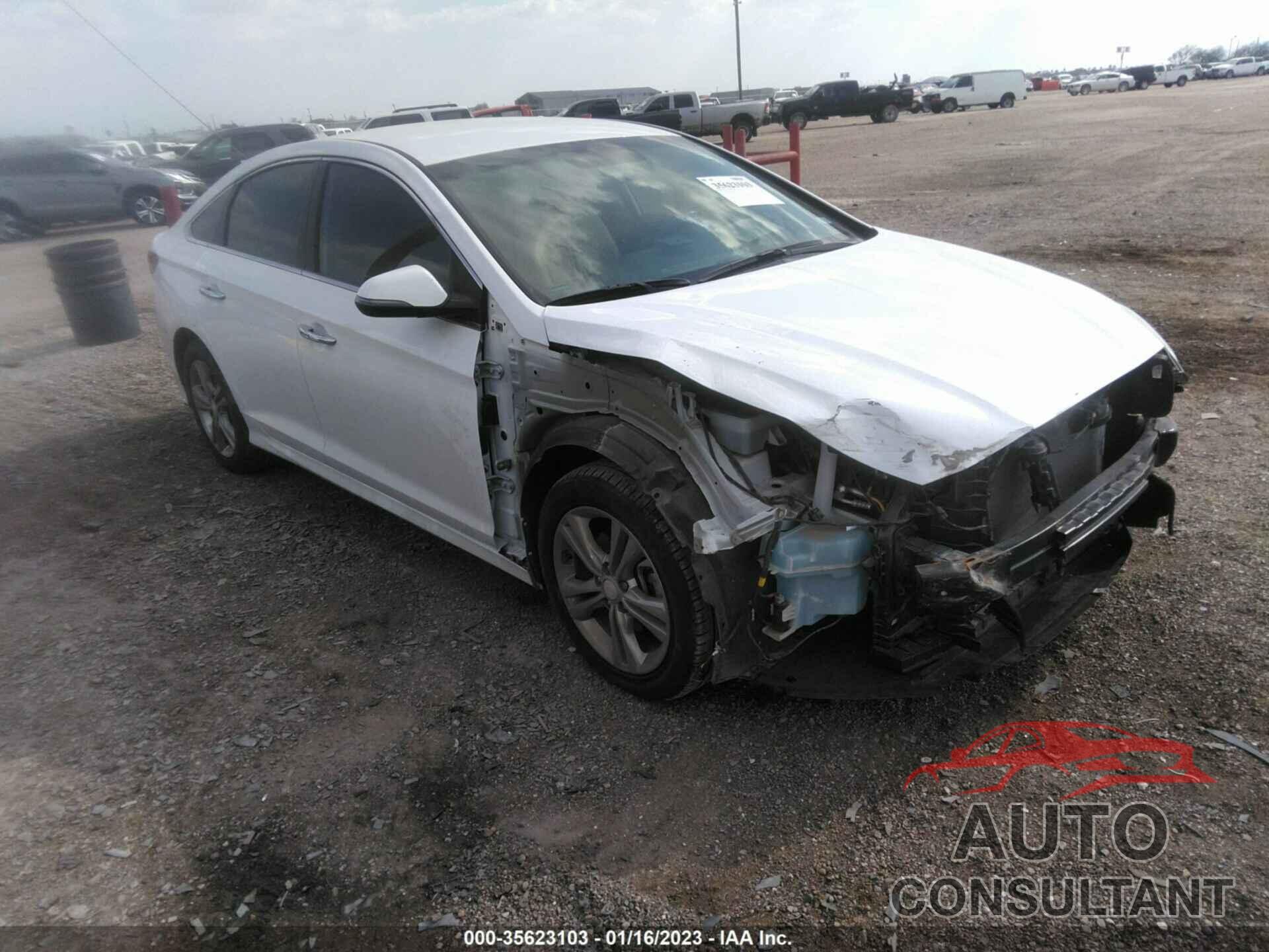 HYUNDAI SONATA 2019 - 5NPE34AF0KH820852