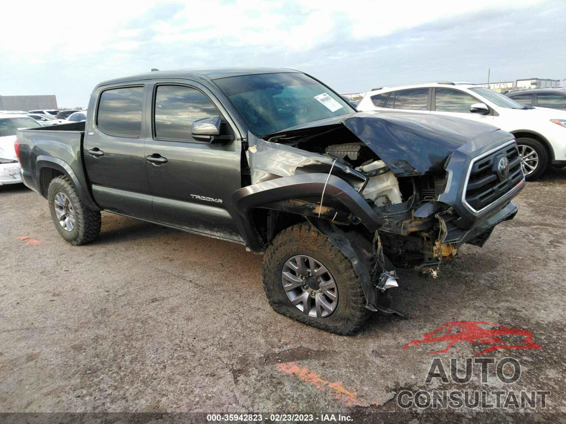 TOYOTA TACOMA 2019 - 3TMCZ5AN5KM284851