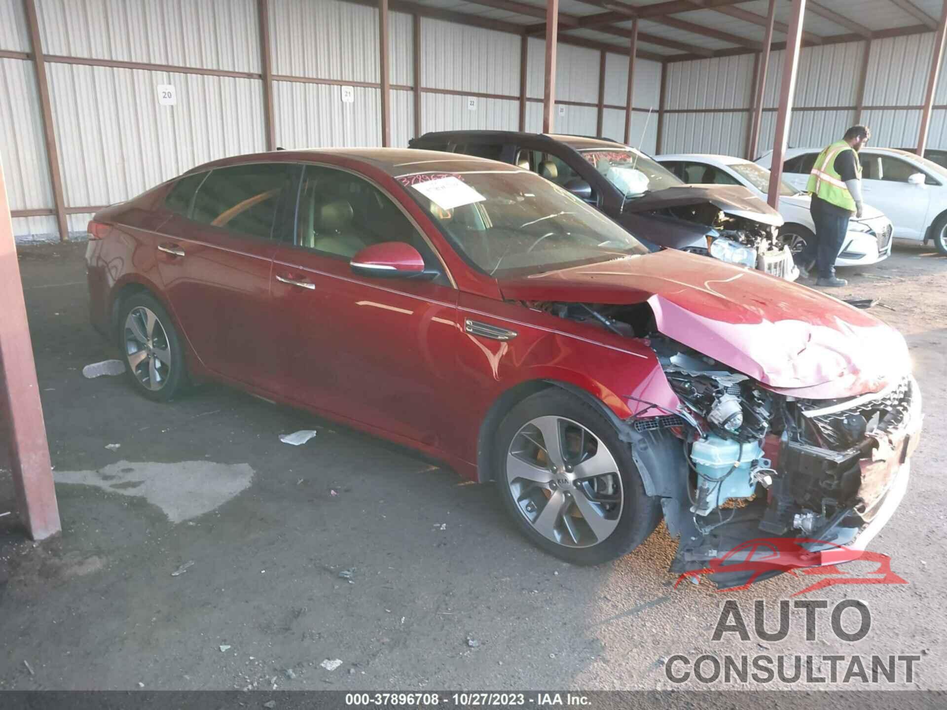 KIA OPTIMA 2019 - 5XXGT4L36KG316507