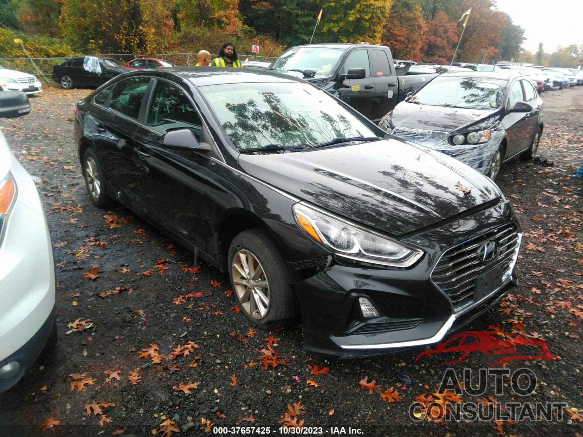 HYUNDAI SONATA 2019 - 5NPE24AFXKH747699