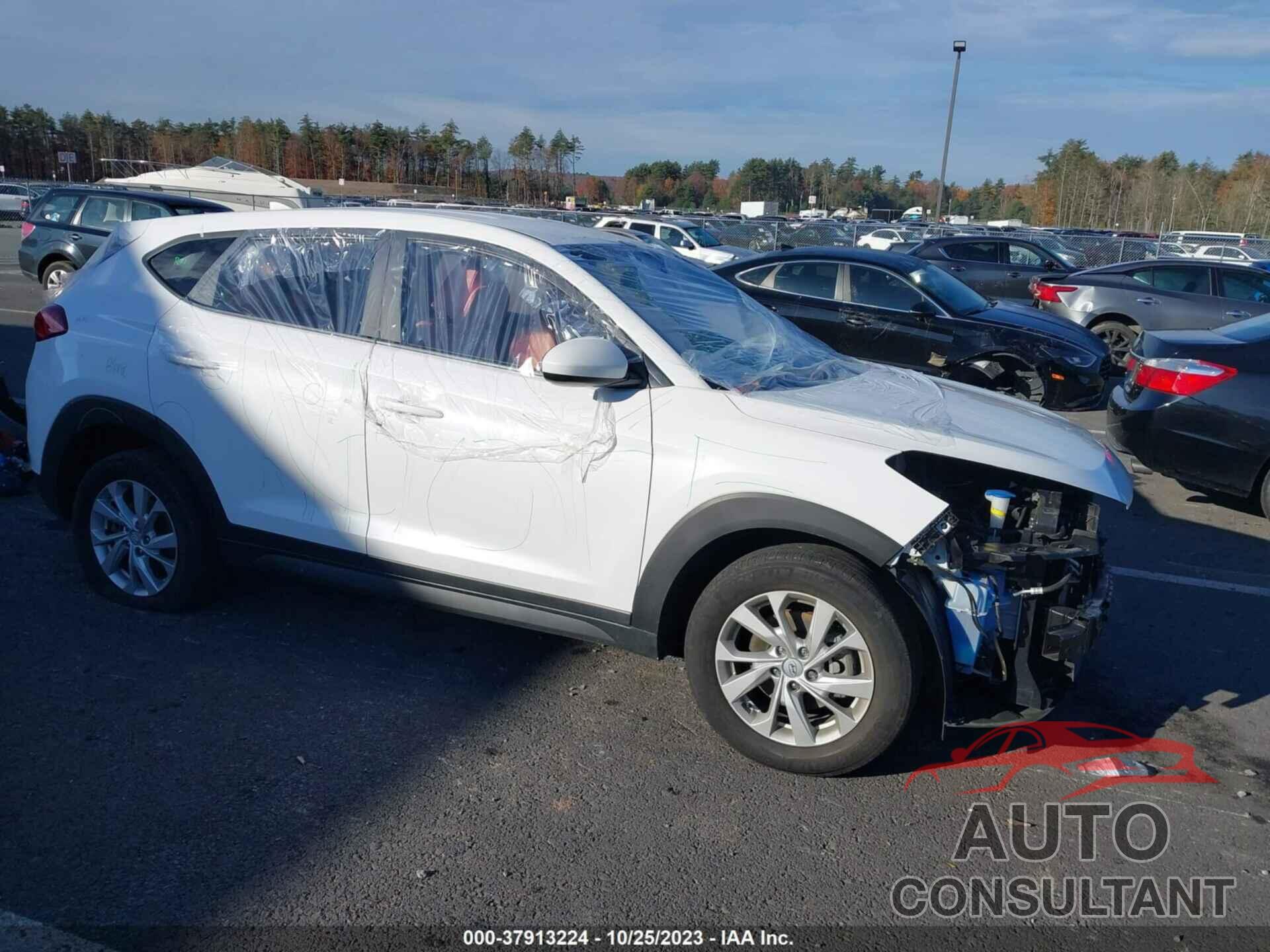 HYUNDAI TUCSON 2020 - KM8J2CA46LU161057