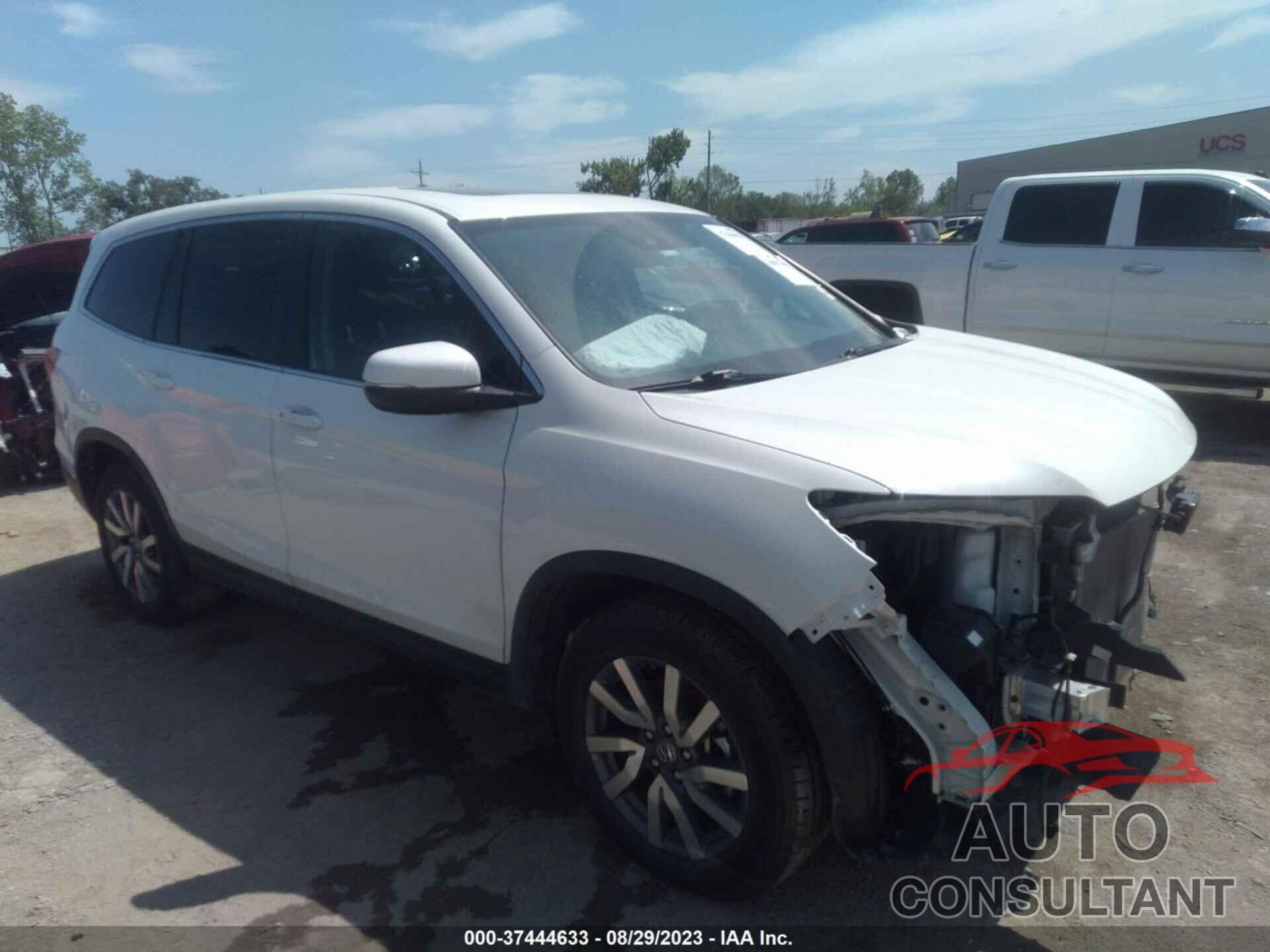 HONDA PILOT 2019 - 5FNYF5H52KB033911