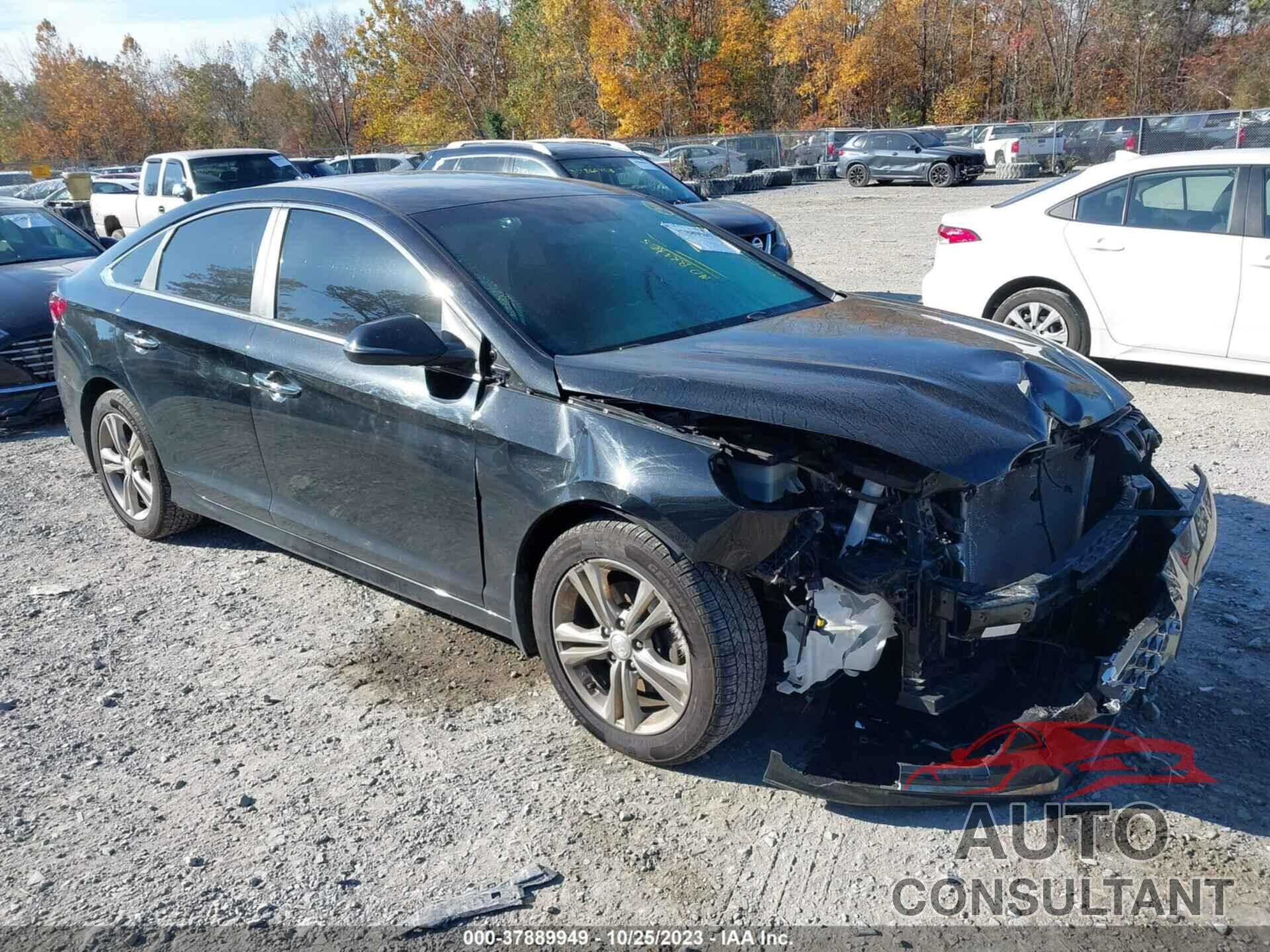 HYUNDAI SONATA 2019 - 5NPE34AF7KH740366