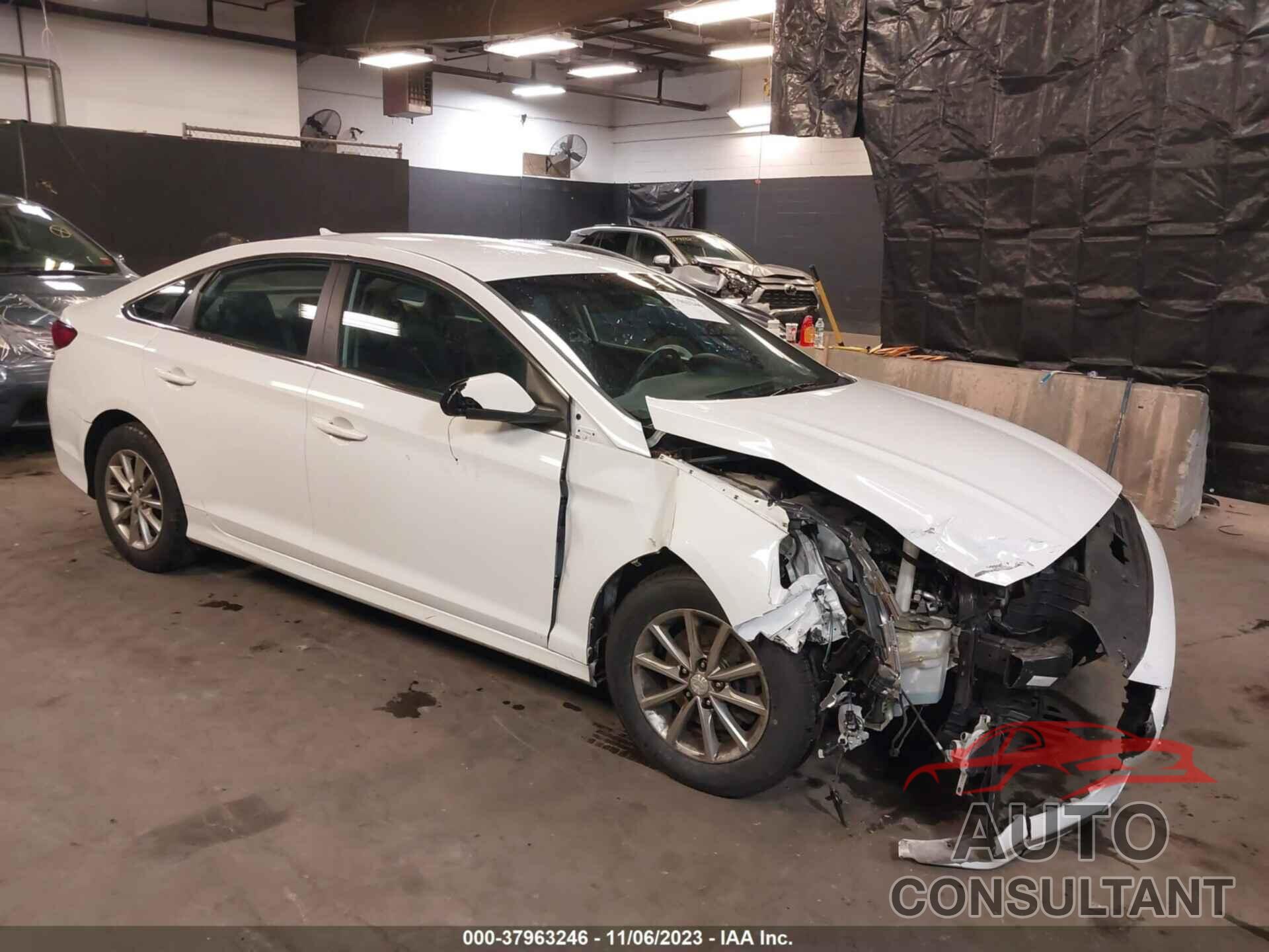 HYUNDAI SONATA 2019 - 5NPE24AF3KH766370
