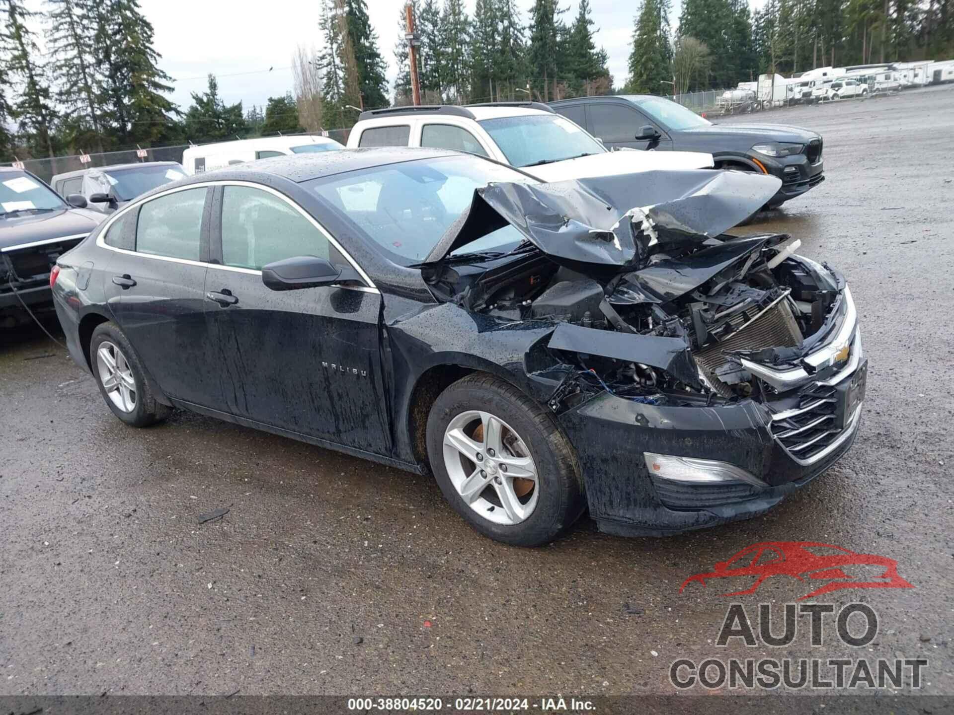 CHEVROLET MALIBU 2020 - 1G1ZC5ST7LF107544
