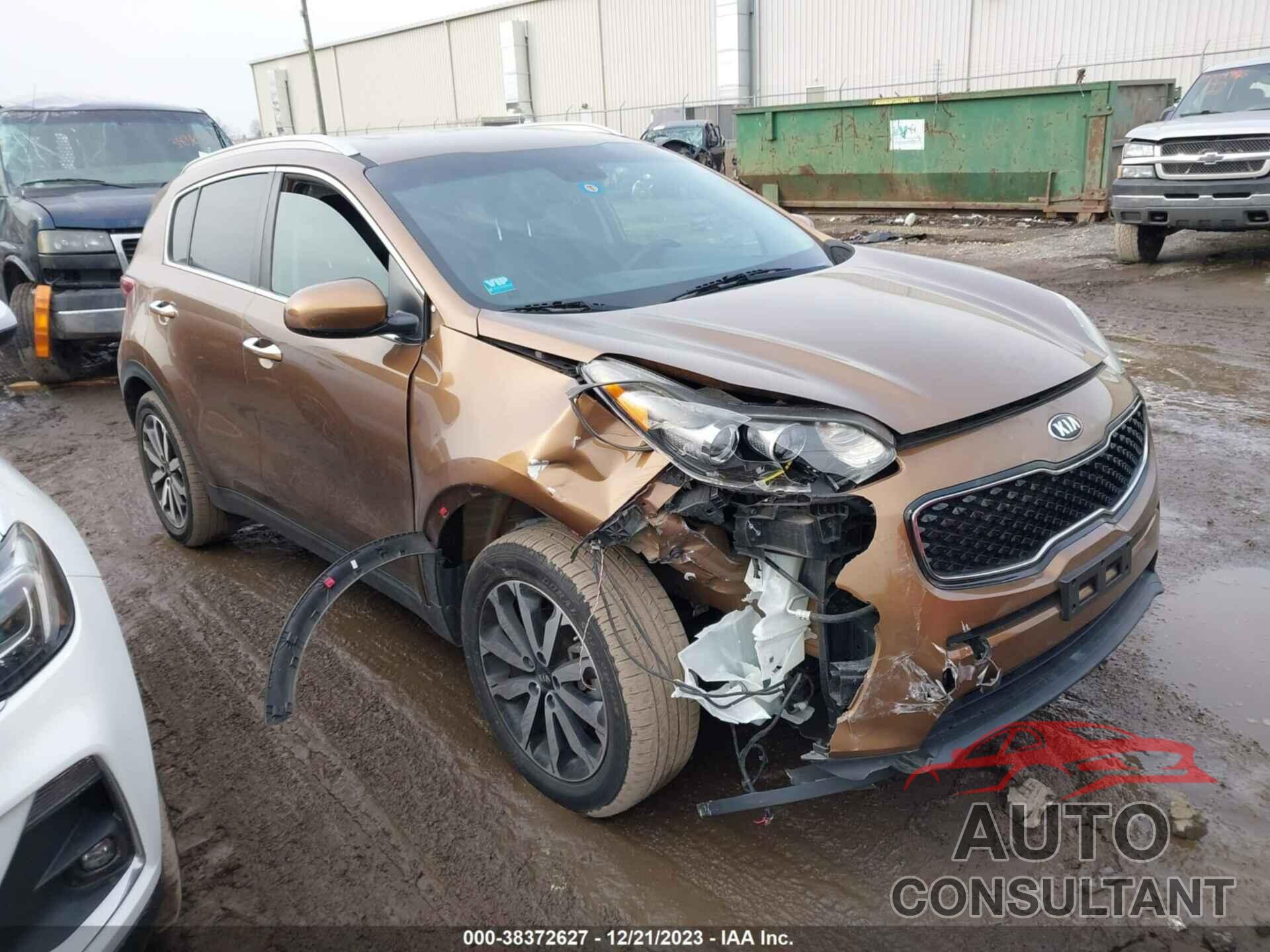 KIA SPORTAGE 2017 - KNDPN3ACXH7271385