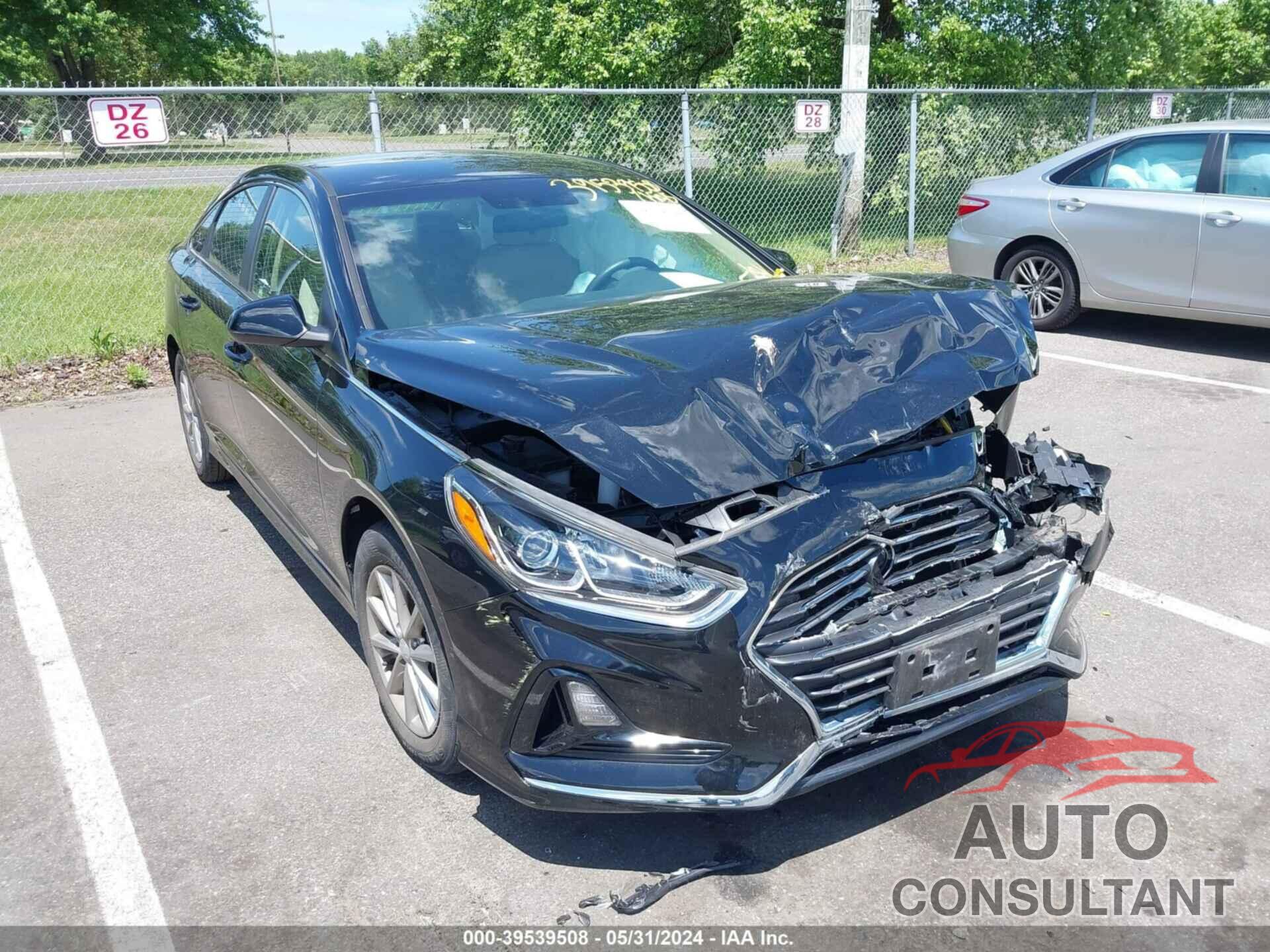 HYUNDAI SONATA 2019 - 5NPE24AFXKH732037