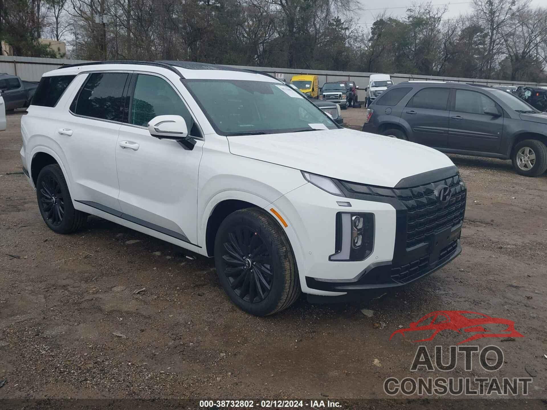 HYUNDAI PALISADE 2024 - KM8R7DGE9RU714089