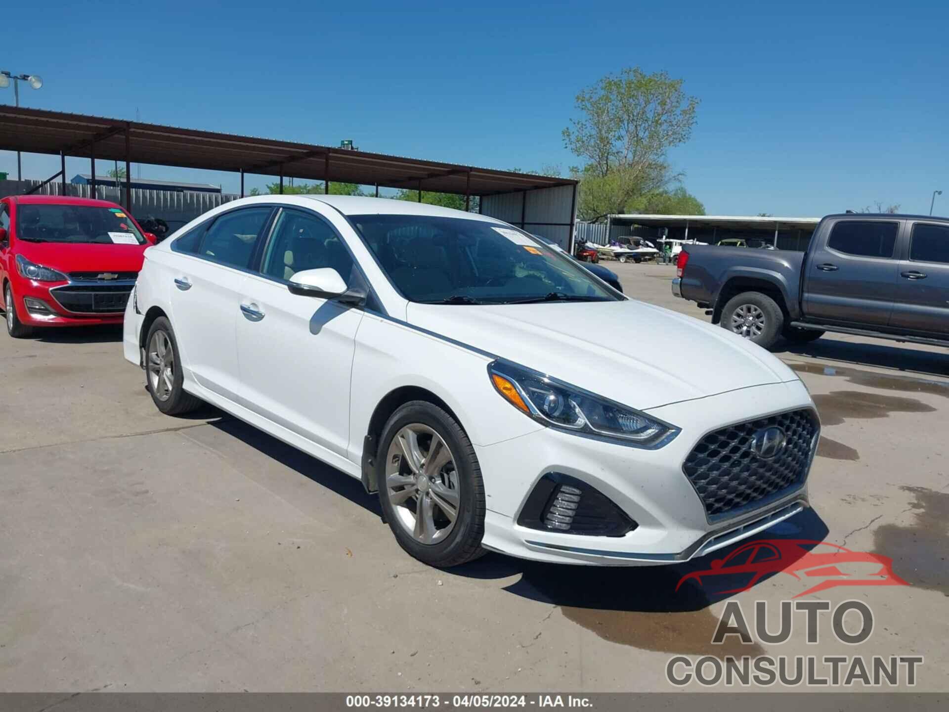 HYUNDAI SONATA 2019 - 5NPE34AF4KH797060