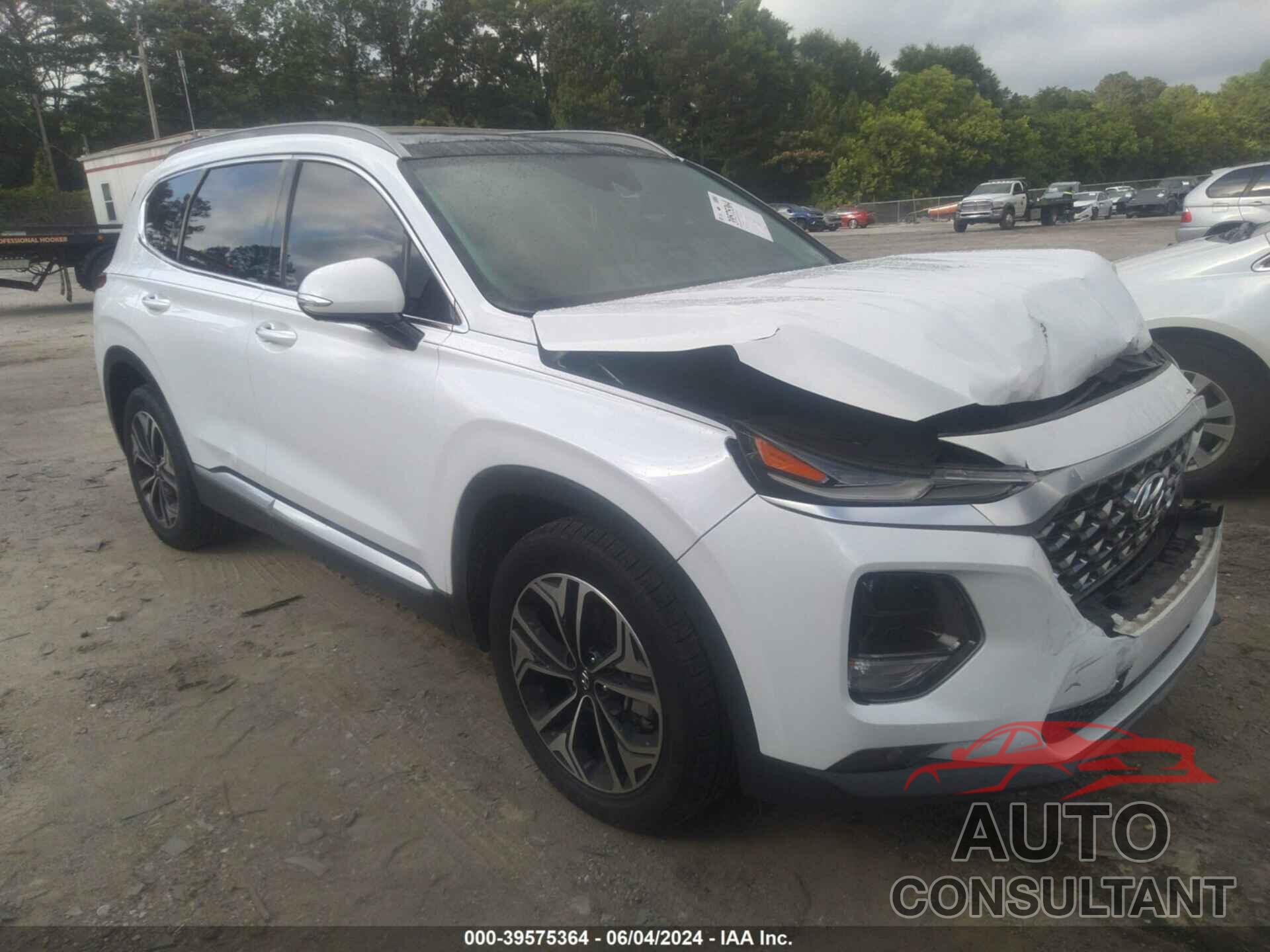 HYUNDAI SANTA FE 2019 - 5NMS5CAA1KH080446