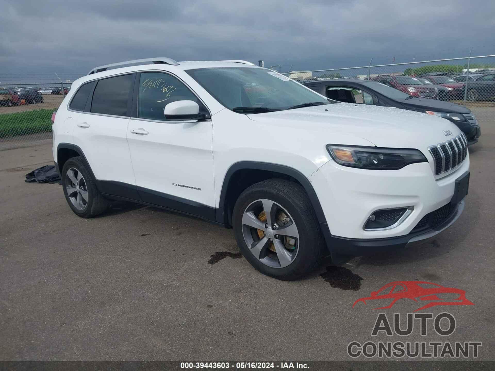 JEEP CHEROKEE 2019 - 1C4PJMDX5KD456632