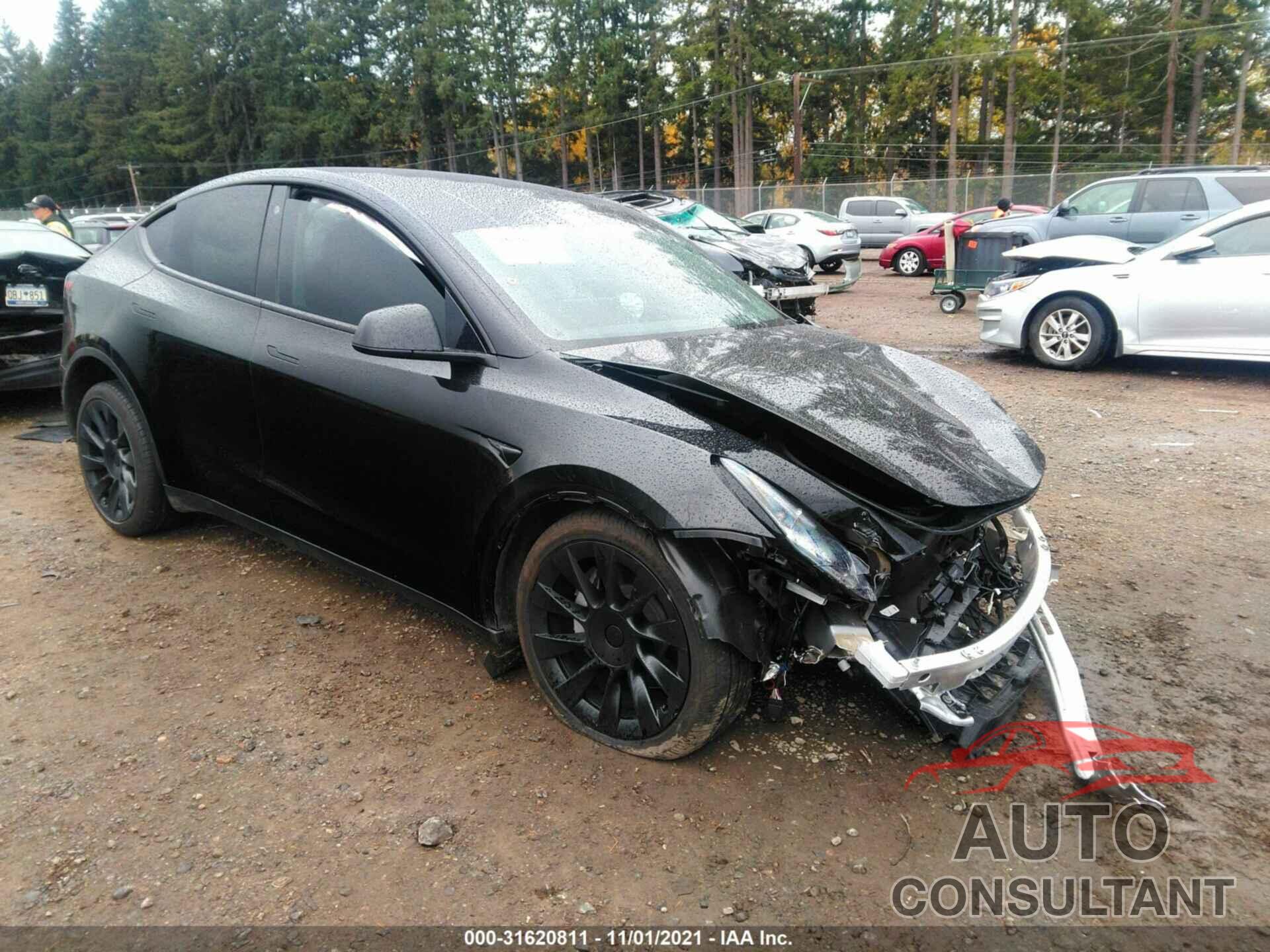 TESLA MODEL Y 2021 - 5YJYGDEE5MF129532