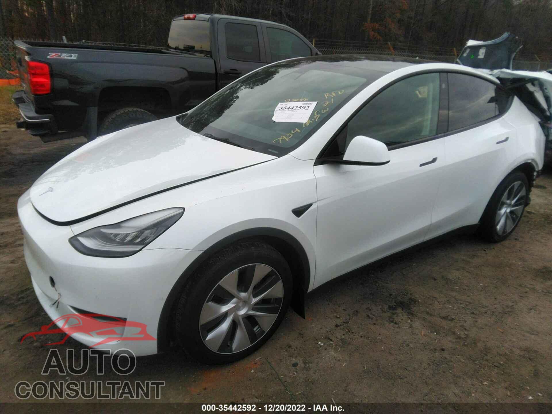 TESLA MODEL Y 2021 - 5YJYGDEE0MF117904