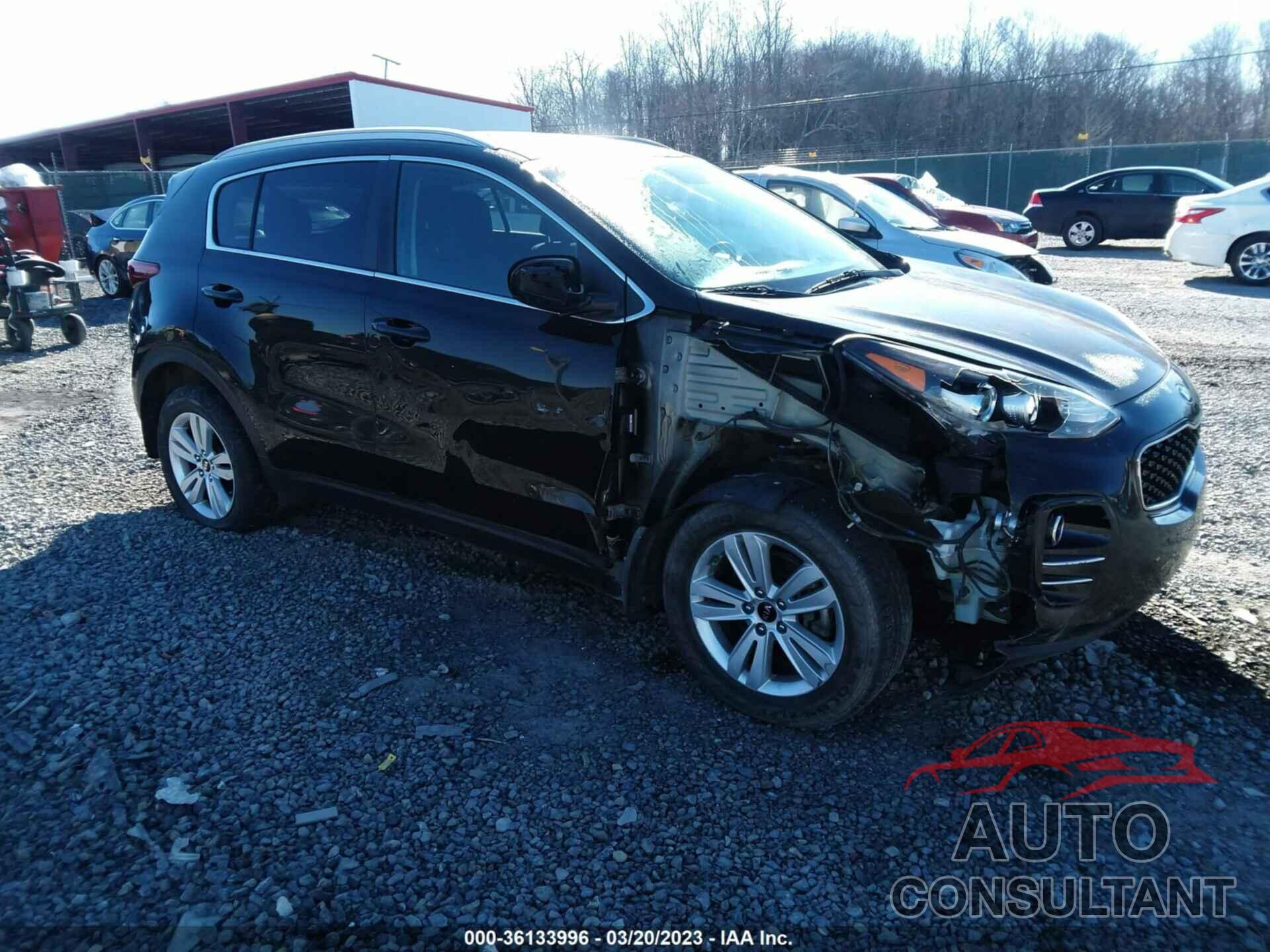 KIA SPORTAGE 2017 - KNDPMCAC7H7177659