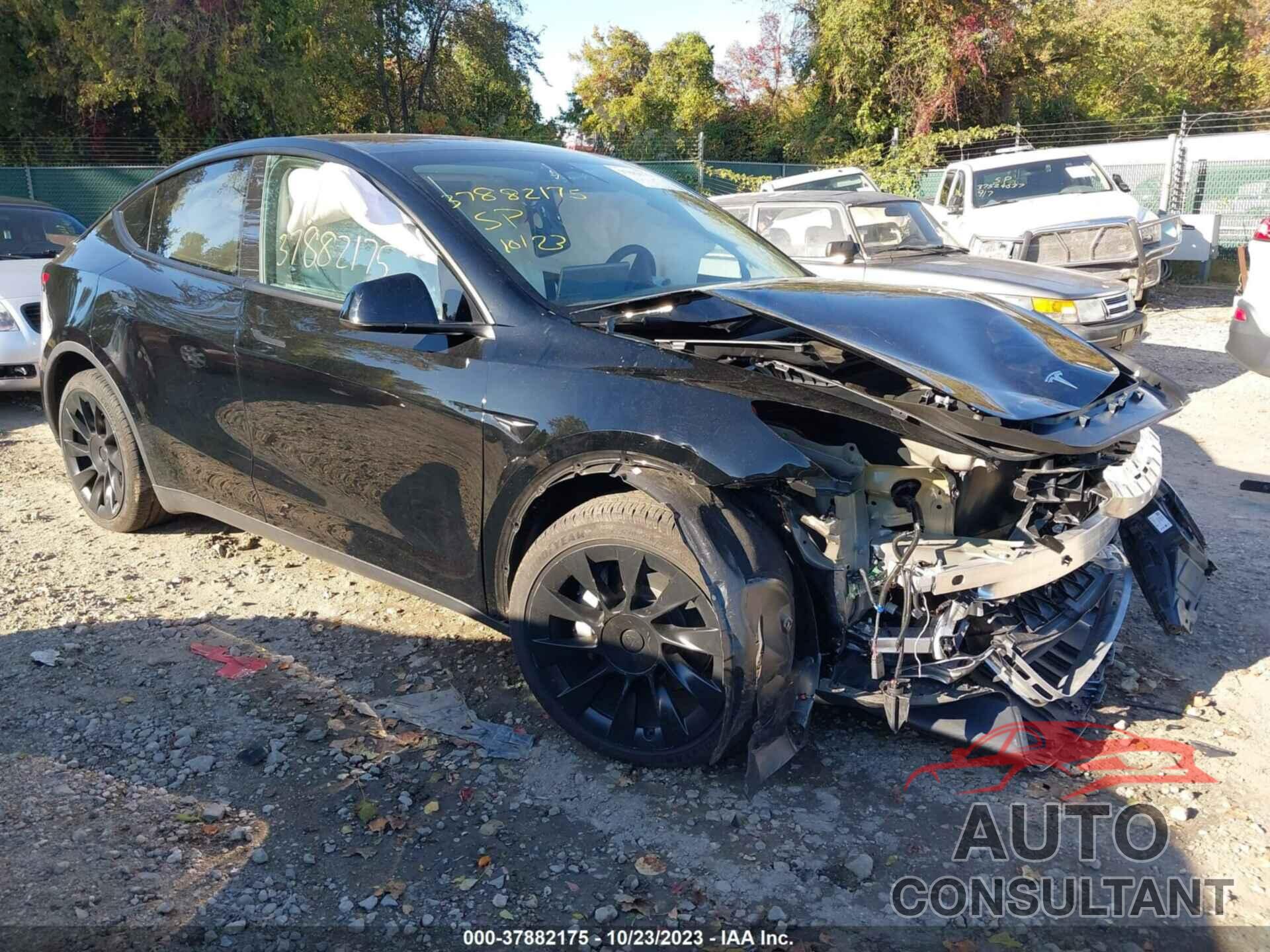 TESLA MODEL Y 2023 - 7SAYGAEE4PF648447