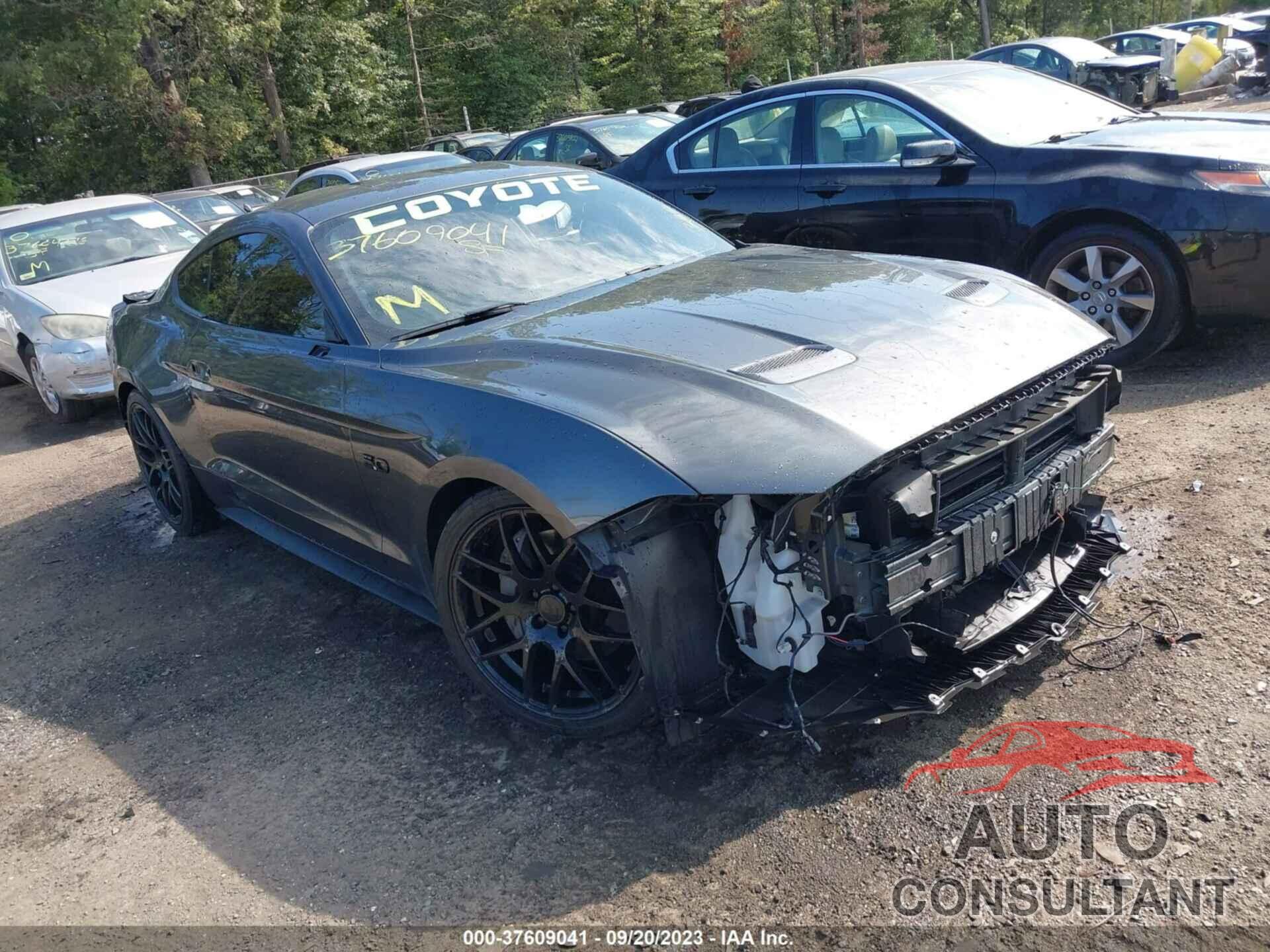 FORD MUSTANG 2019 - 1FA6P8CF0K5194156