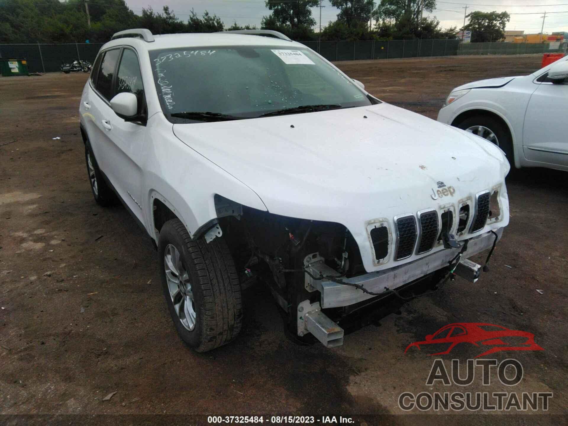 JEEP CHEROKEE 2019 - 1C4PJMLB7KD198703