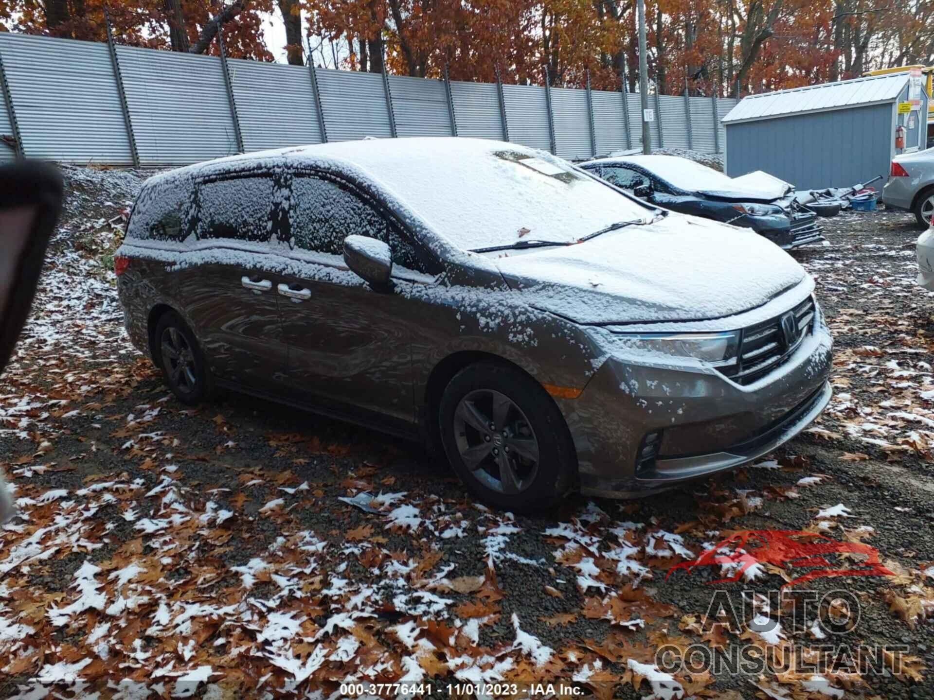 HONDA ODYSSEY 2022 - 5FNRL6H53NB021614