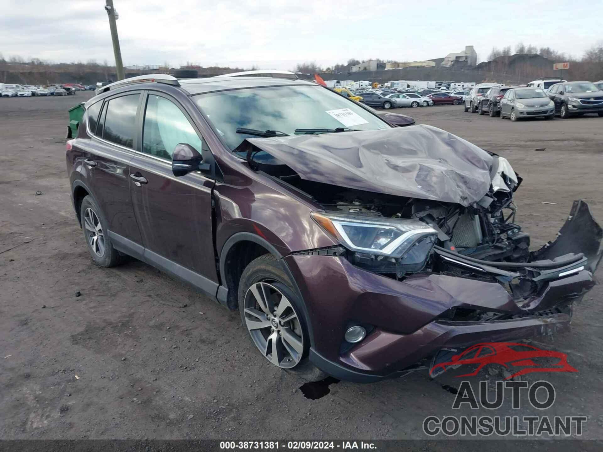 TOYOTA RAV4 2016 - 2T3RFREV6GW499293
