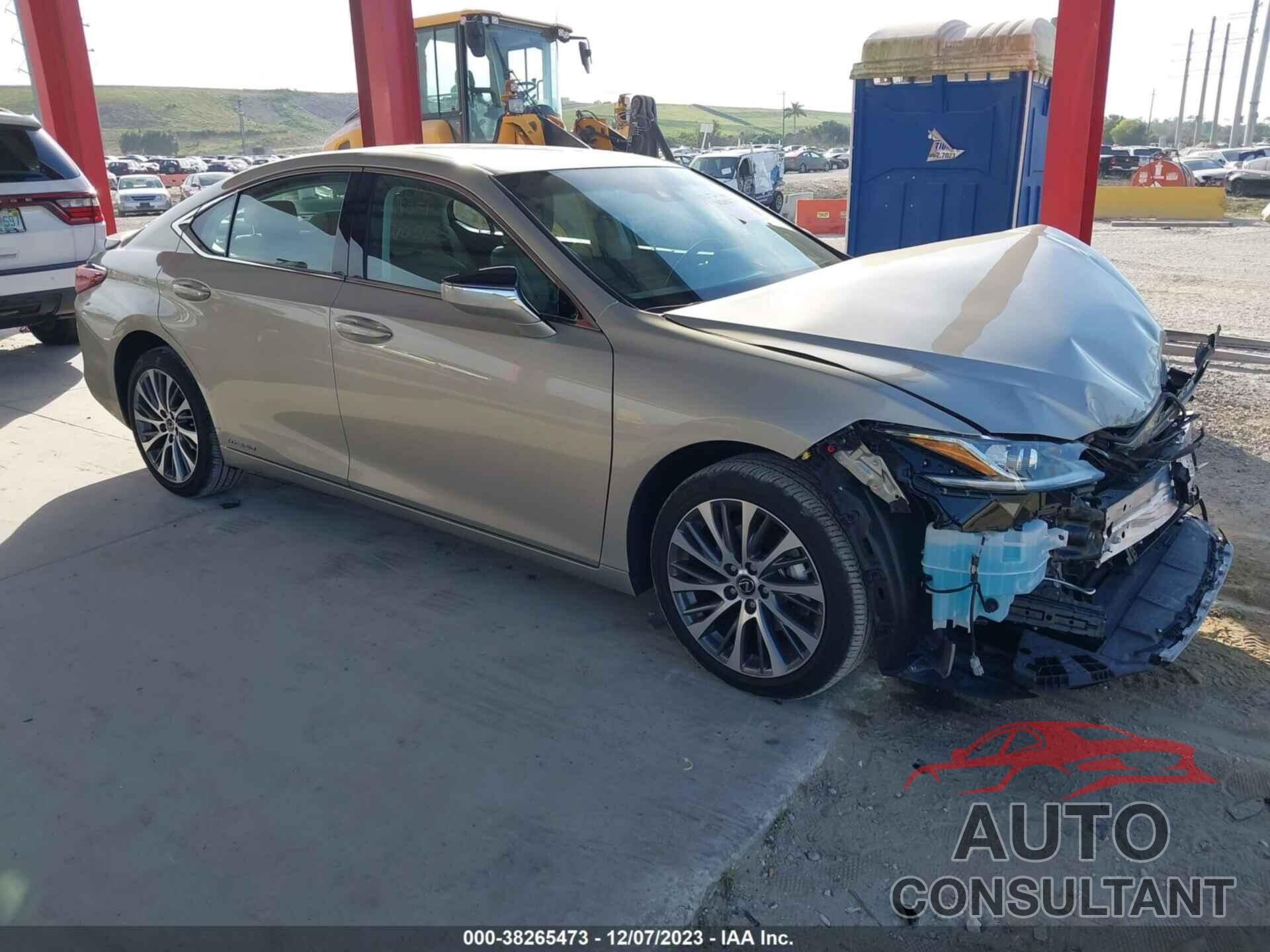 LEXUS ES 300H 2021 - 58ADA1C13MU012719