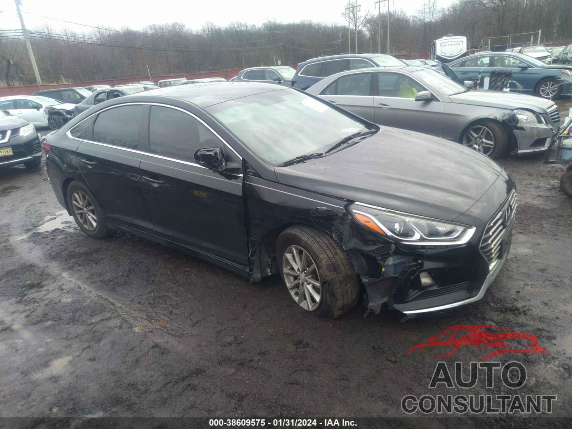 HYUNDAI SONATA 2019 - 5NPE24AF6KH735579