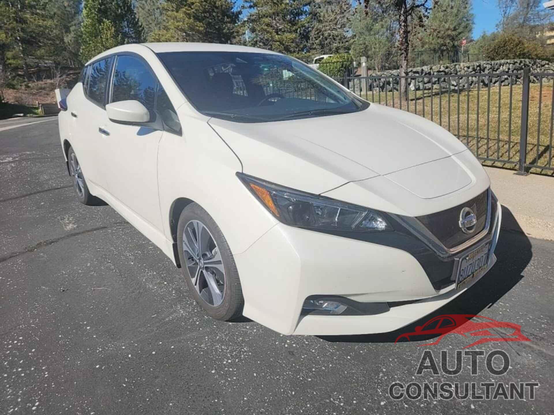 NISSAN LEAF 2020 - 1N4AZ1CP8LC308275