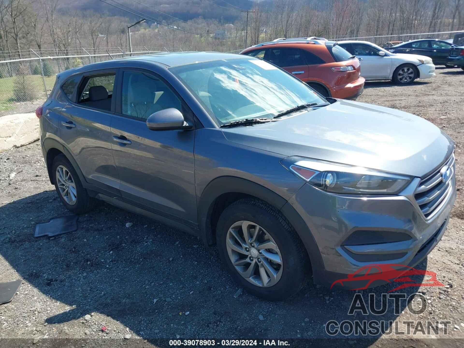 HYUNDAI TUCSON 2018 - KM8J2CA43JU703096