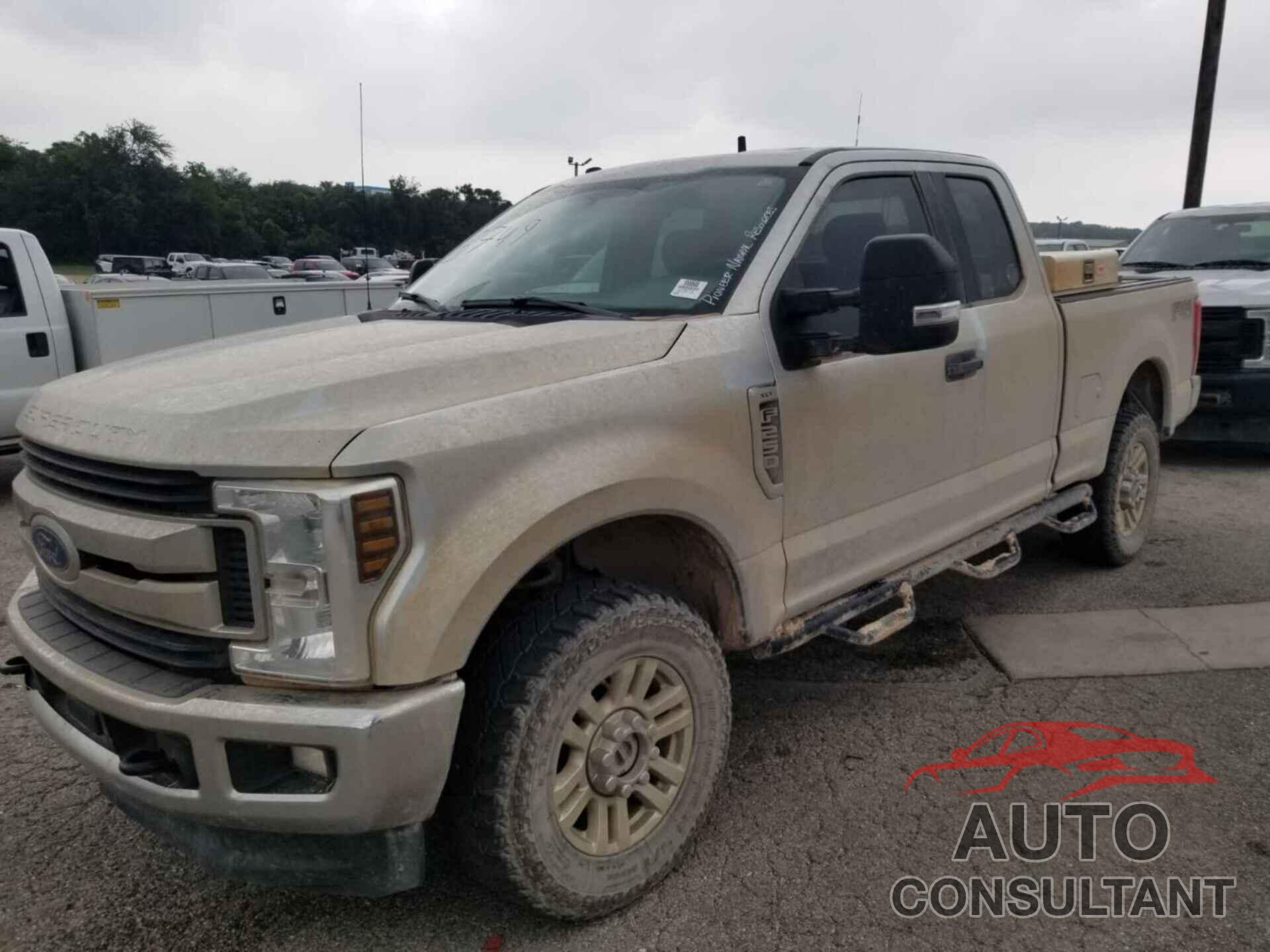 FORD F250 2019 - 1FT7X2B6XKEE24296