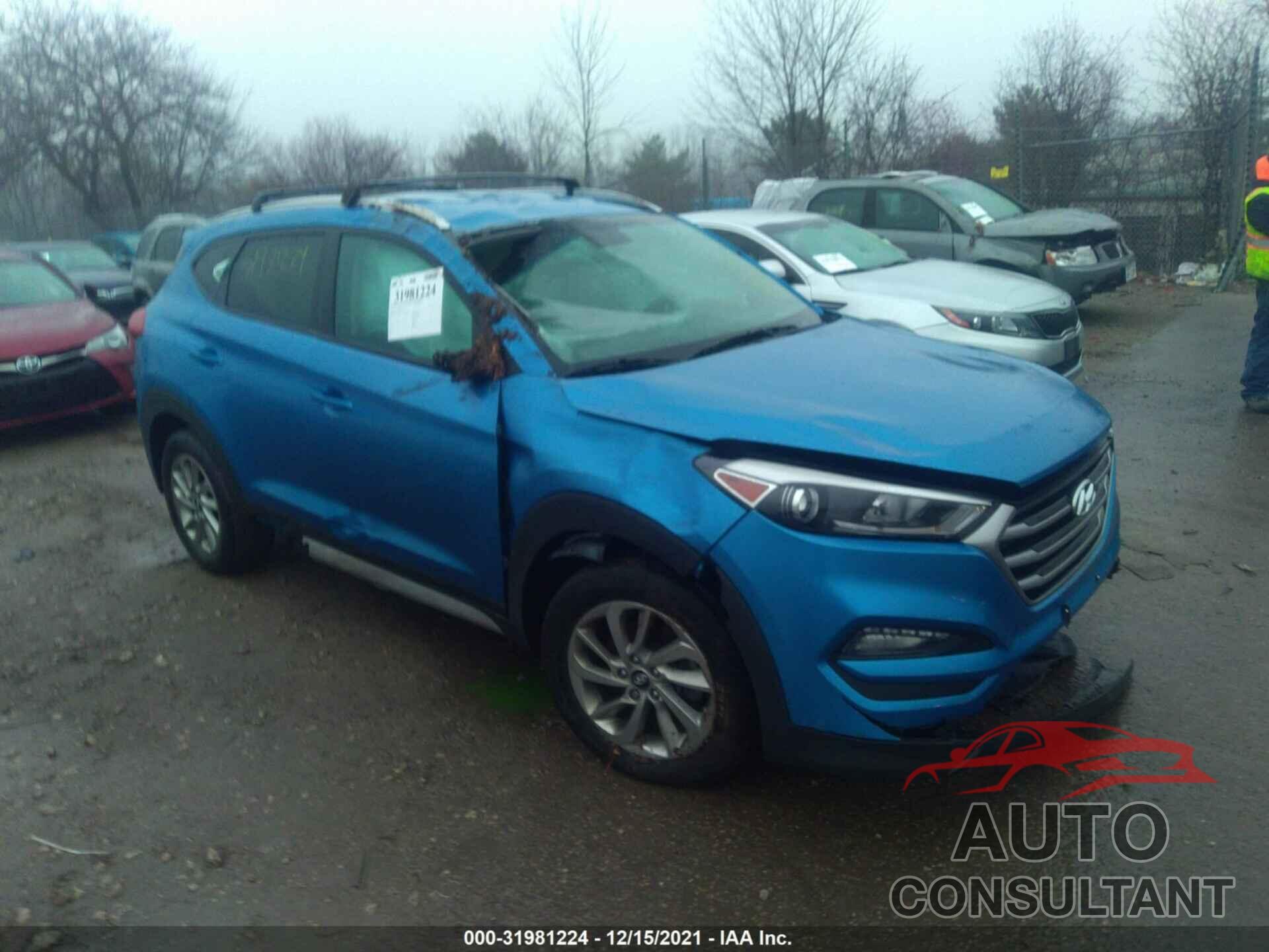 HYUNDAI TUCSON 2017 - KM8J33A40HU521931