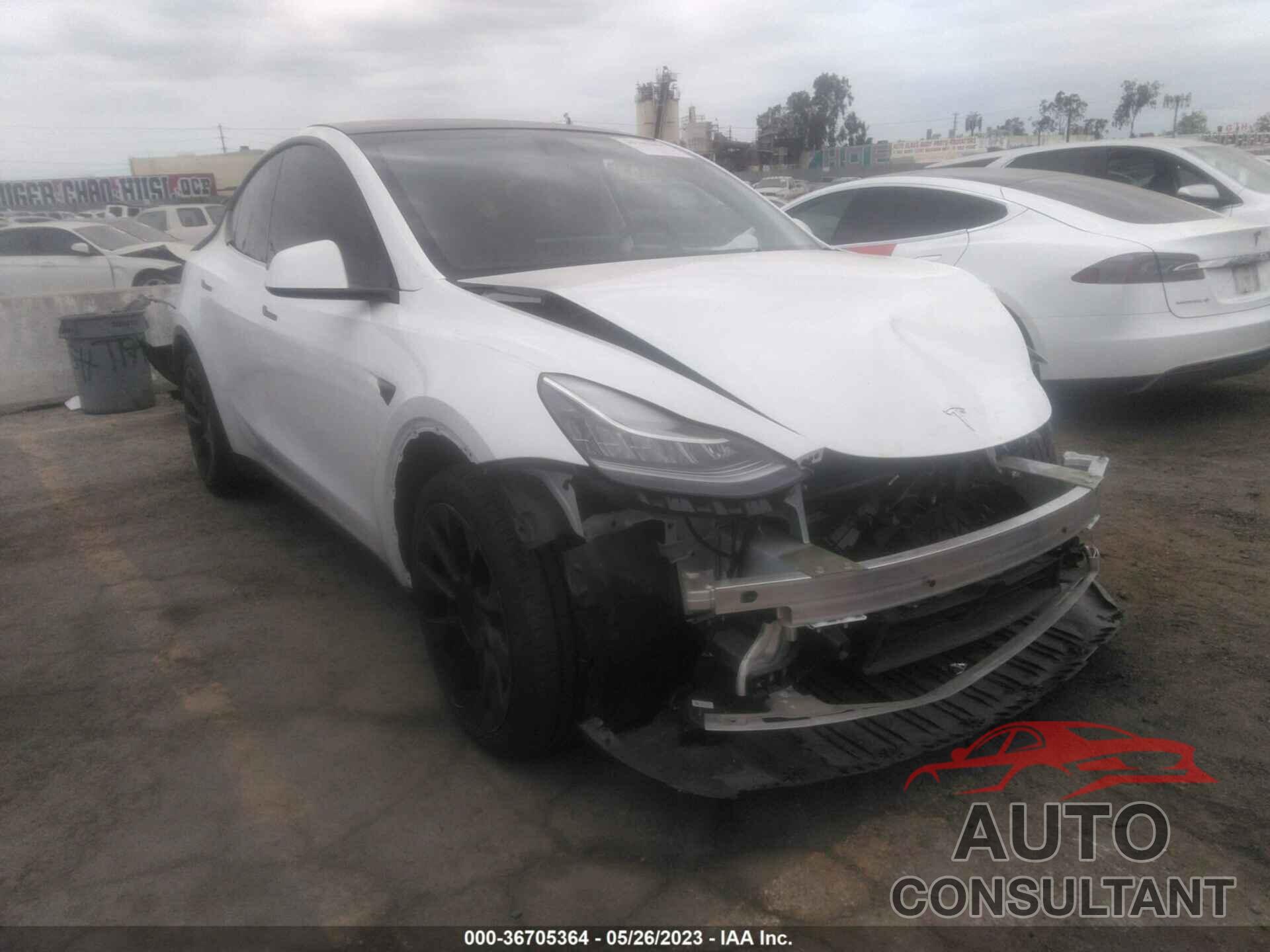 TESLA MODEL Y 2021 - 5YJYGDEE2MF273488