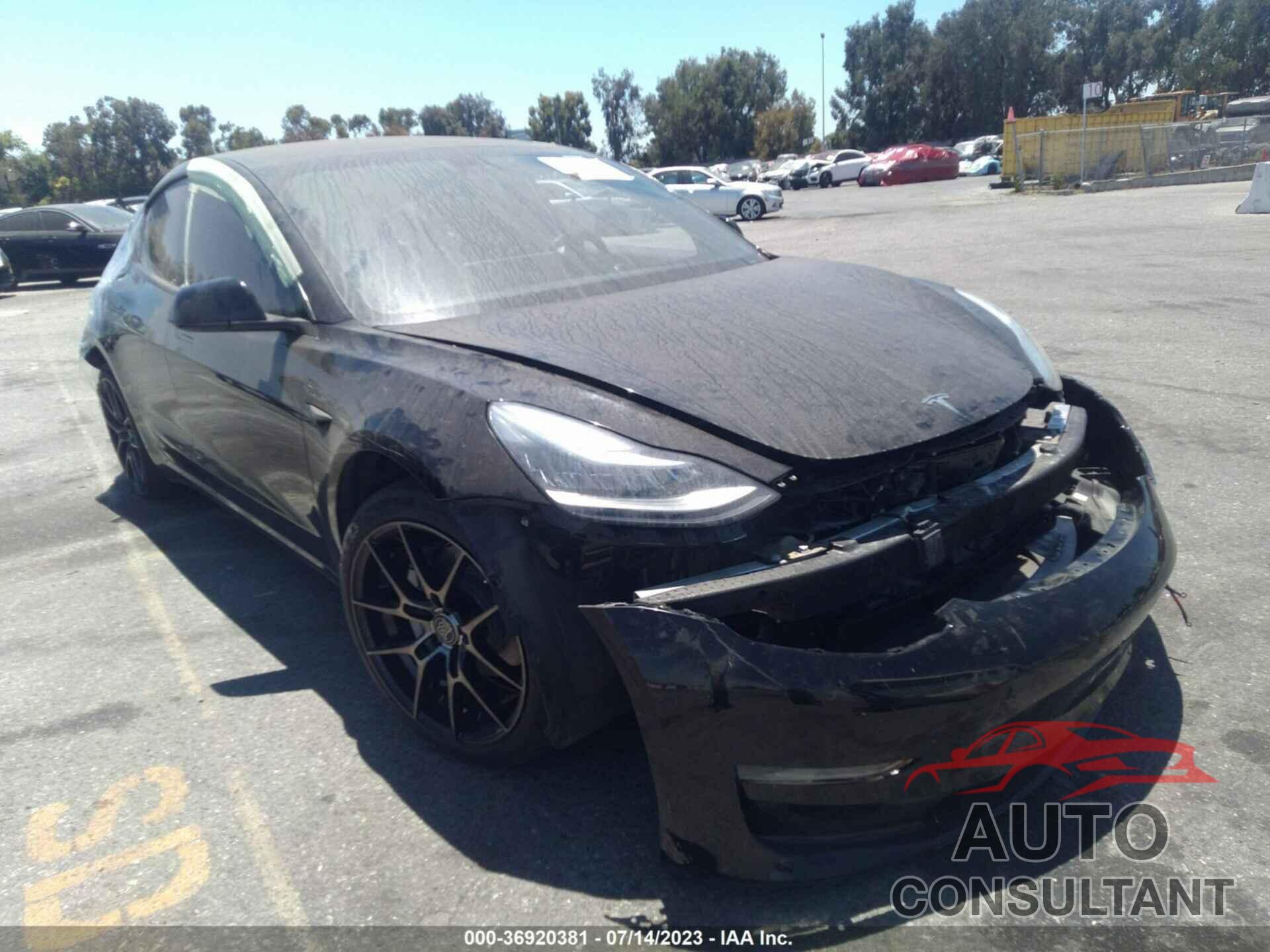 TESLA MODEL 3 2019 - 5YJ3E1EA1KF362039
