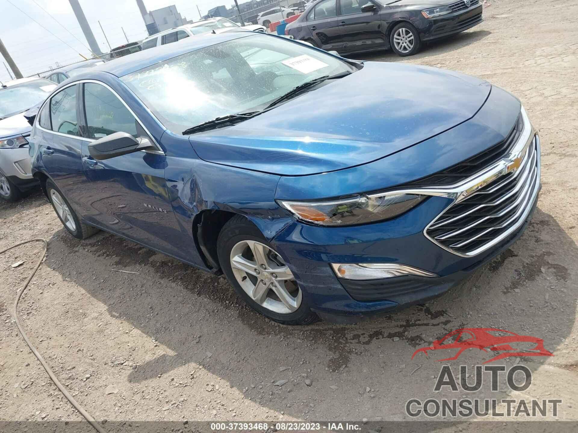 CHEVROLET MALIBU 2019 - 1G1ZB5ST3KF160811