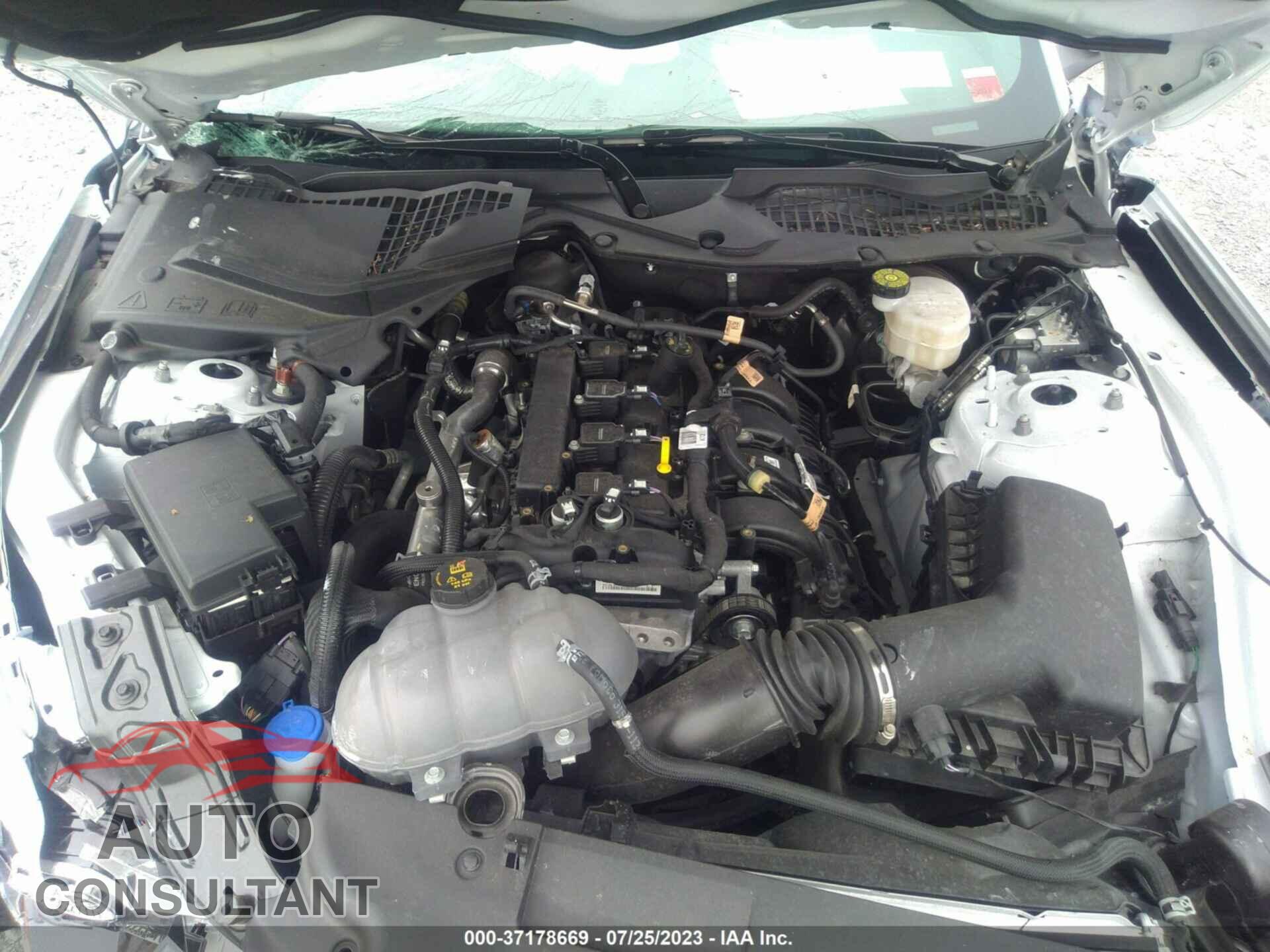 FORD MUSTANG 2021 - 1FA6P8TH6M5149727