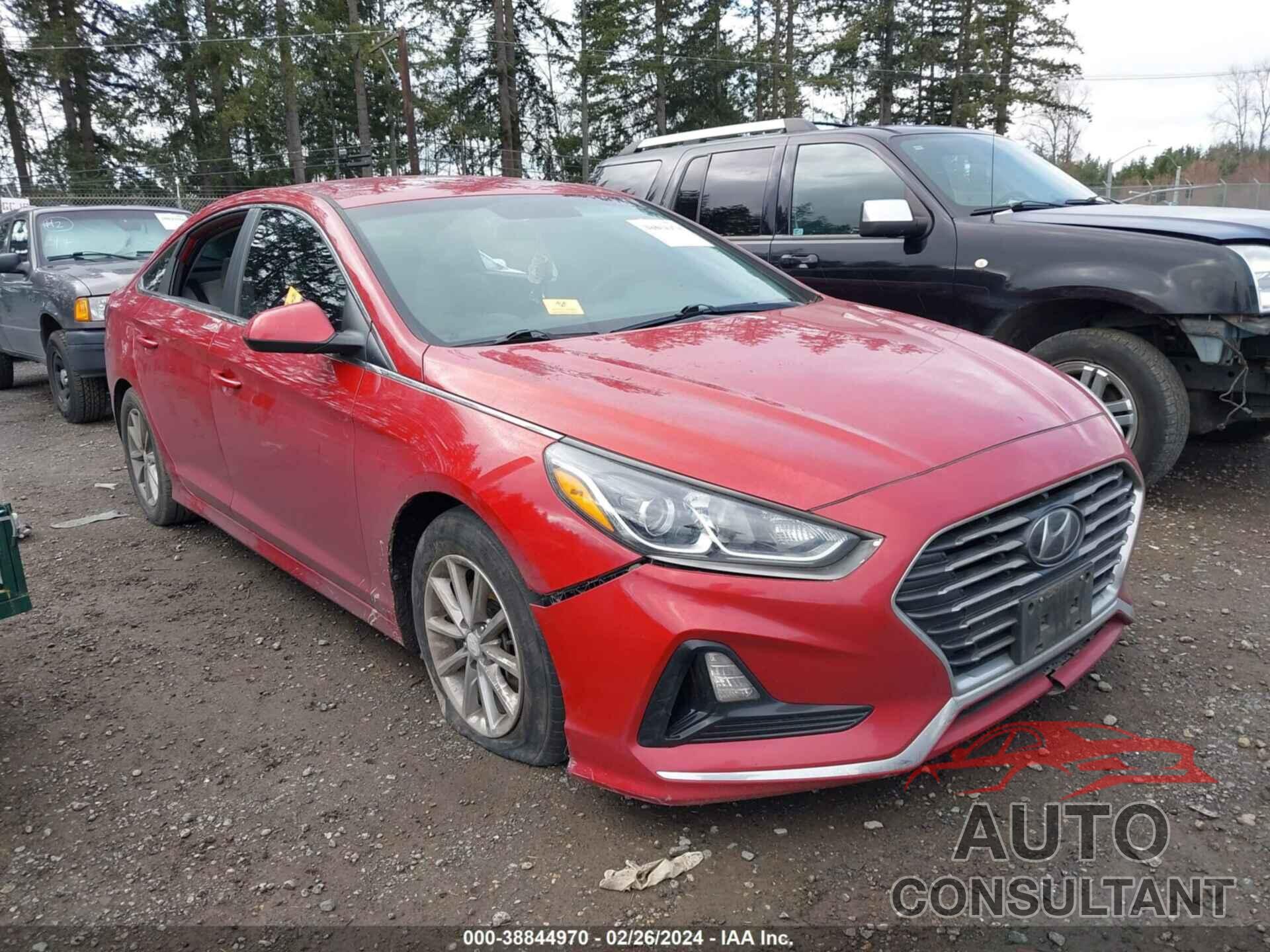HYUNDAI SONATA 2019 - 5NPE24AF9KH755678
