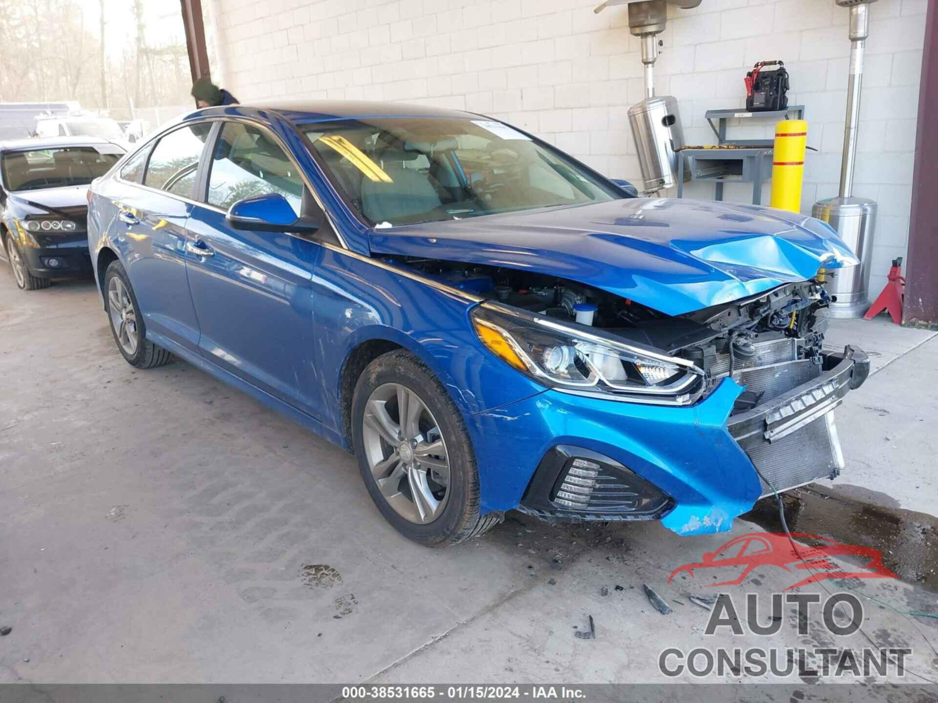 HYUNDAI SONATA 2019 - 5NPE34AF3KH783635