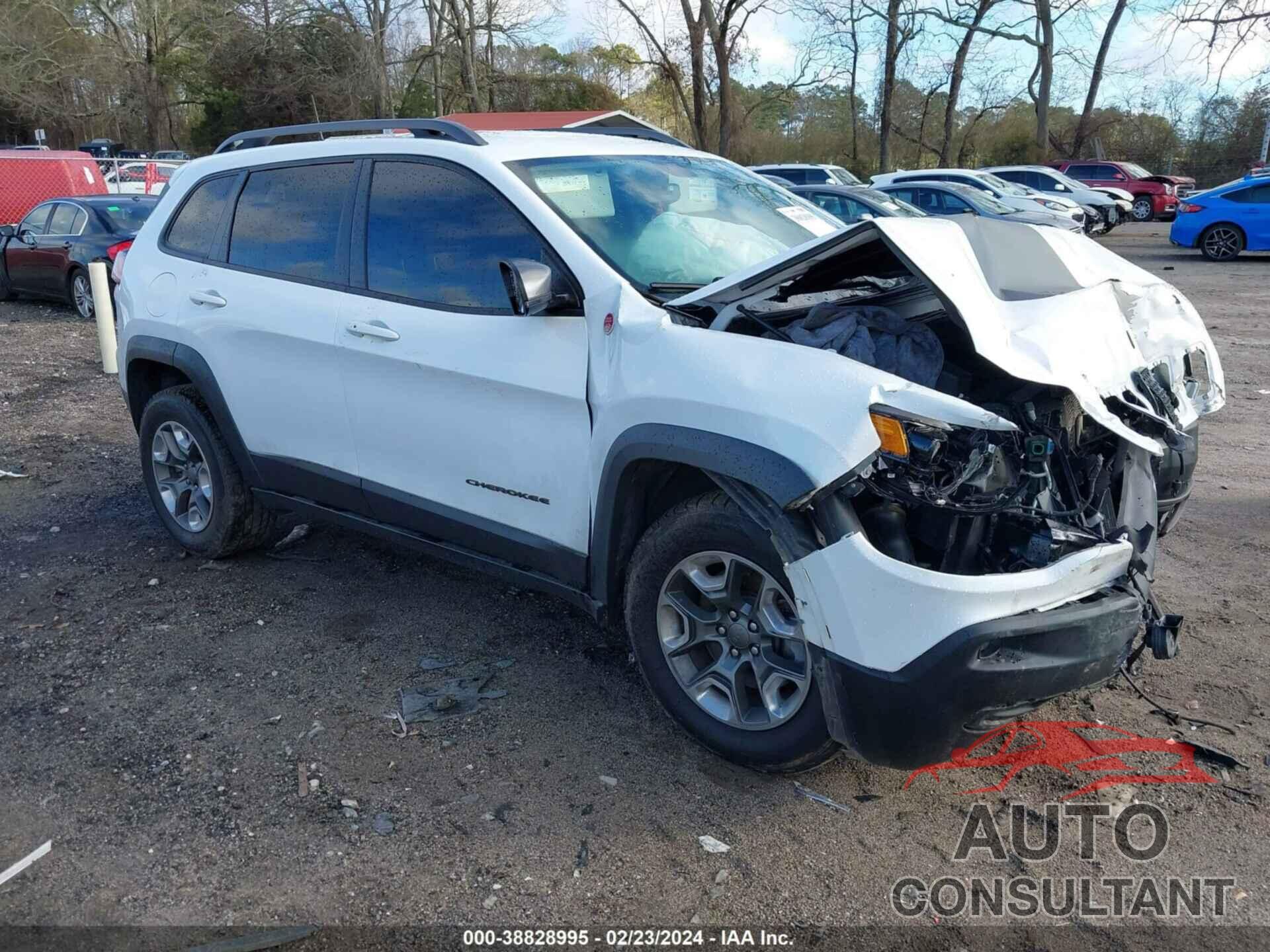 JEEP CHEROKEE 2019 - 1C4PJMBX3KD298567