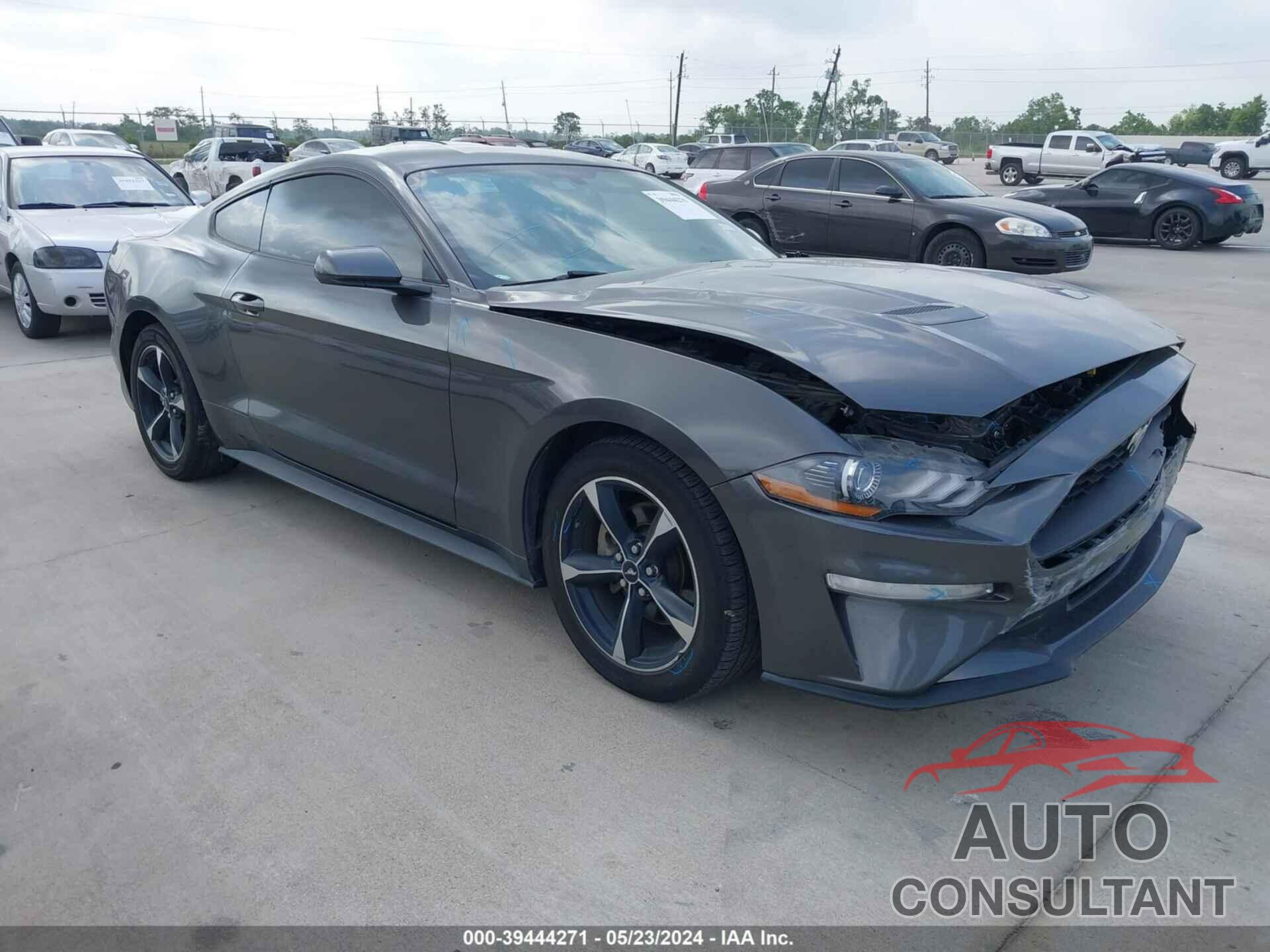 FORD MUSTANG 2019 - 1FA6P8TH4K5157709
