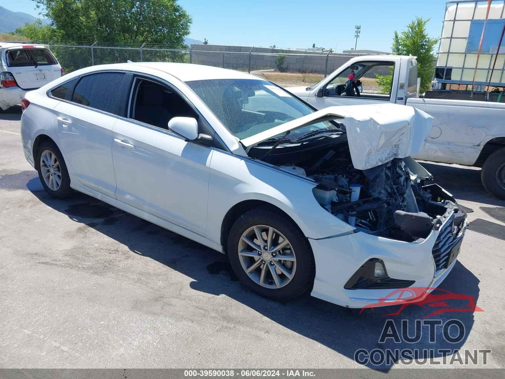 HYUNDAI SONATA 2019 - 5NPE24AF5KH791786