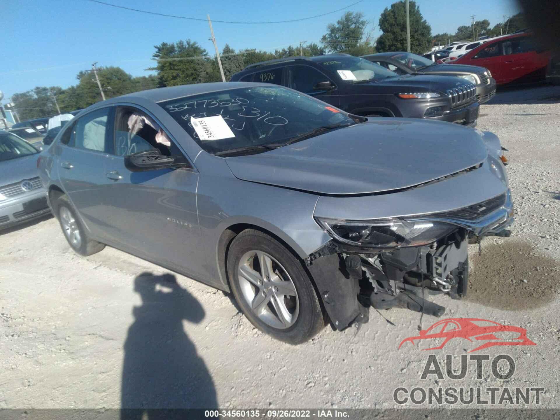 CHEVROLET MALIBU 2019 - 1G1ZB5ST0KF219085