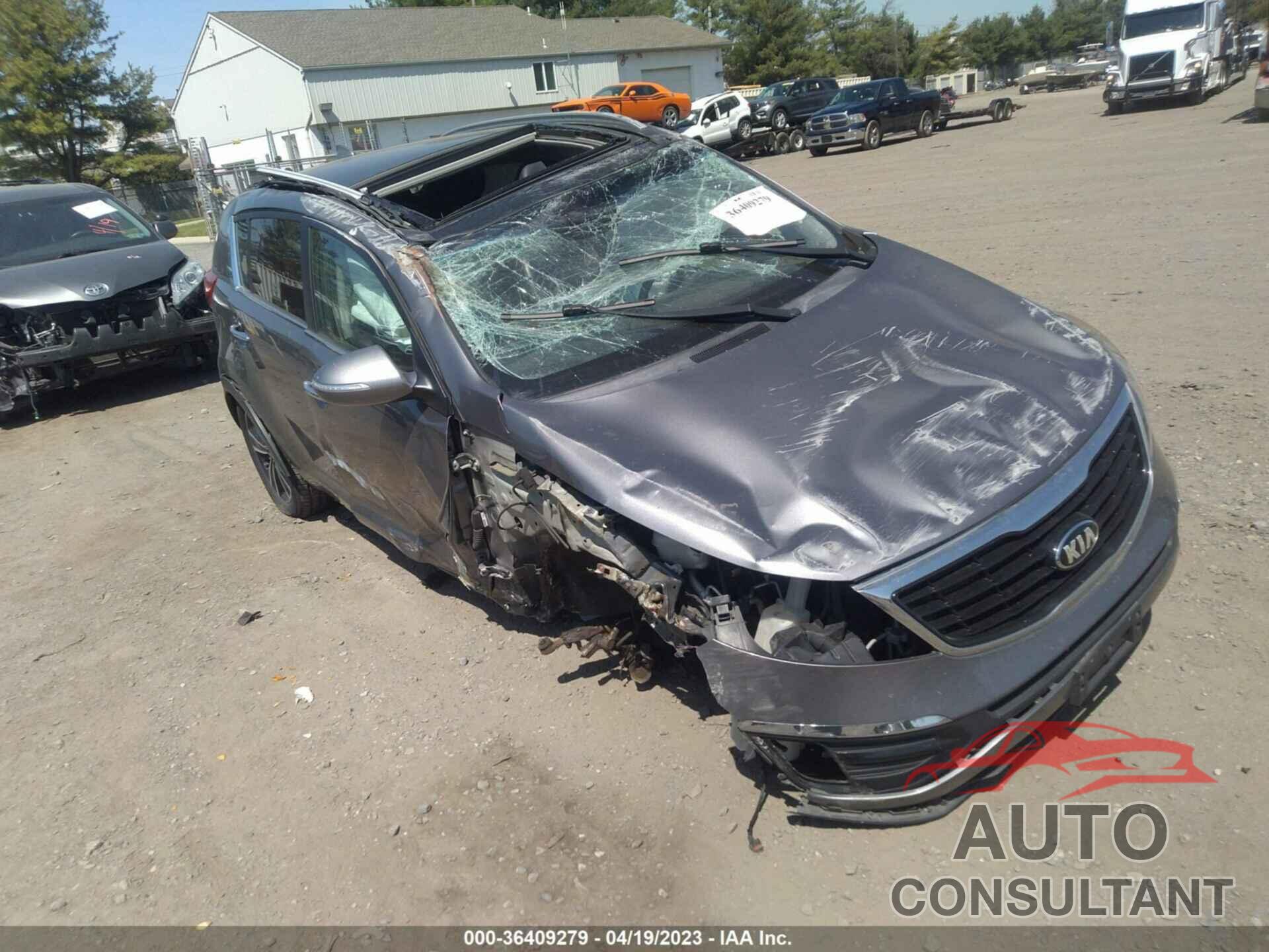 KIA SPORTAGE 2016 - KNDPCCA62G7863524