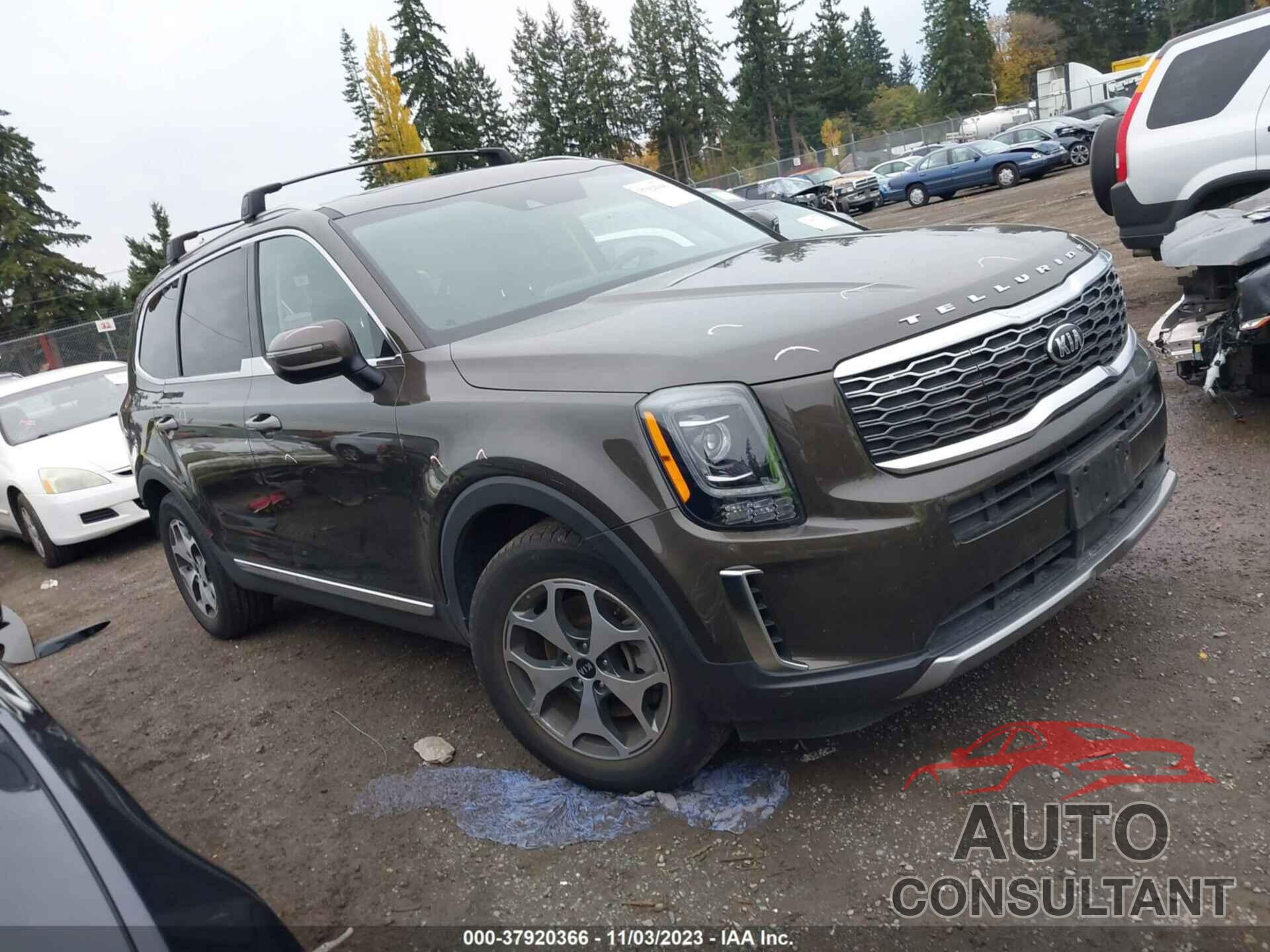 KIA TELLURIDE 2021 - 5XYP3DHC0MG107674