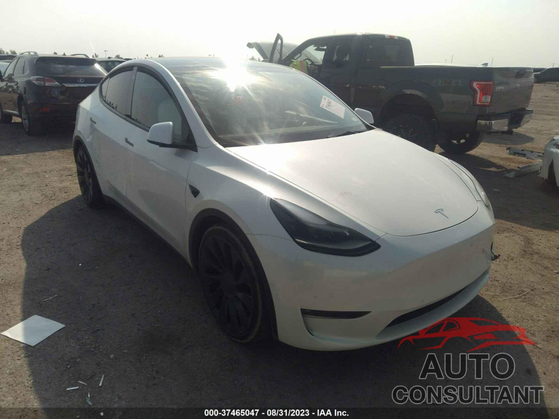TESLA MODEL Y 2022 - 7SAYGDEF4NF392799