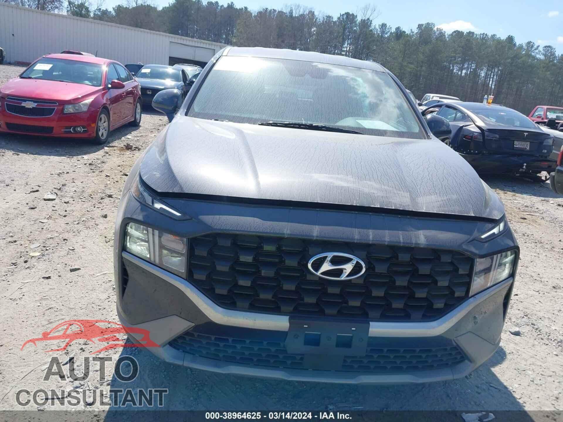 HYUNDAI SANTA FE 2023 - 5NMS14AJ1PH517743