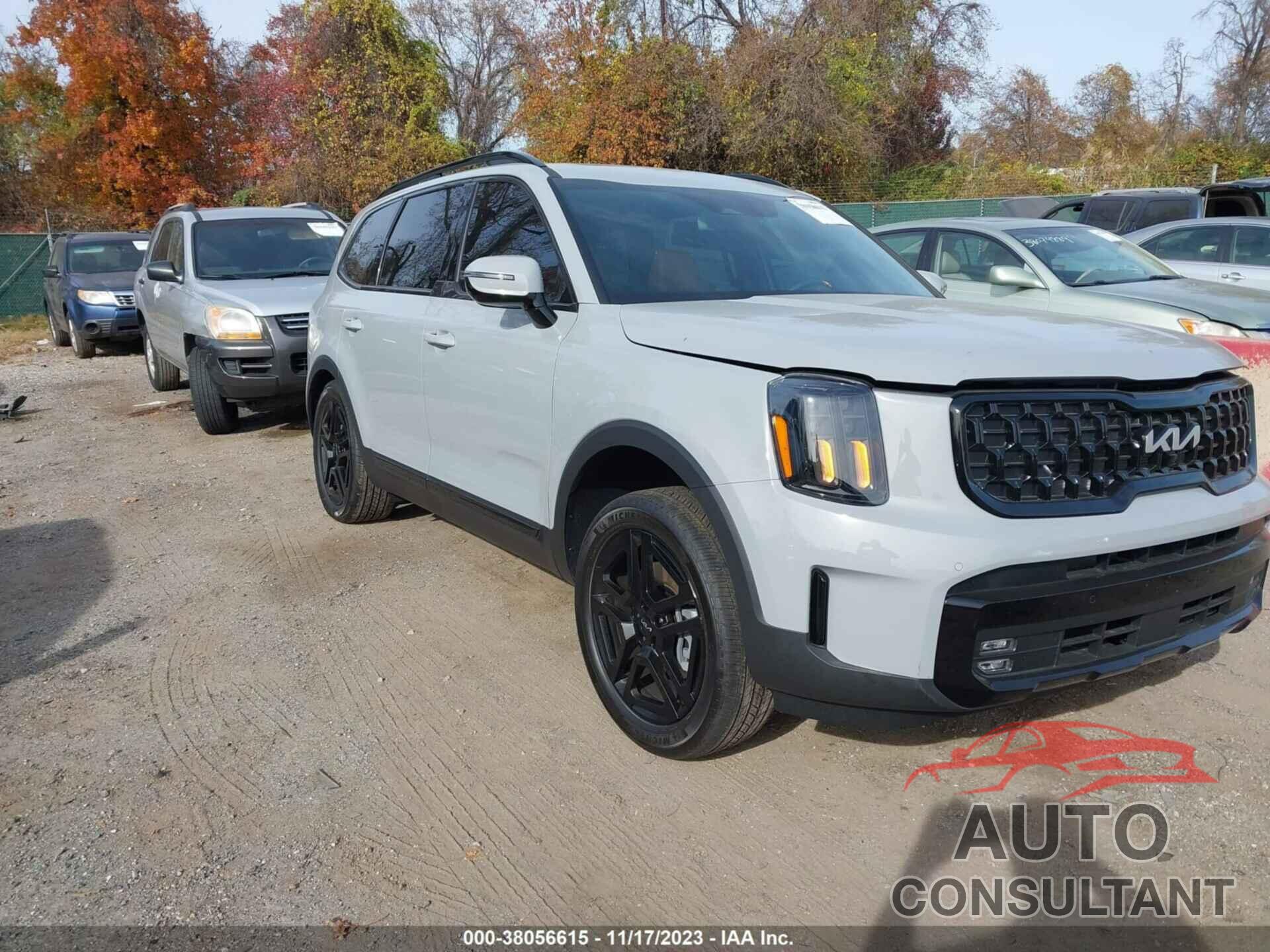 KIA TELLURIDE 2024 - 5XYP5DGC1RG448911