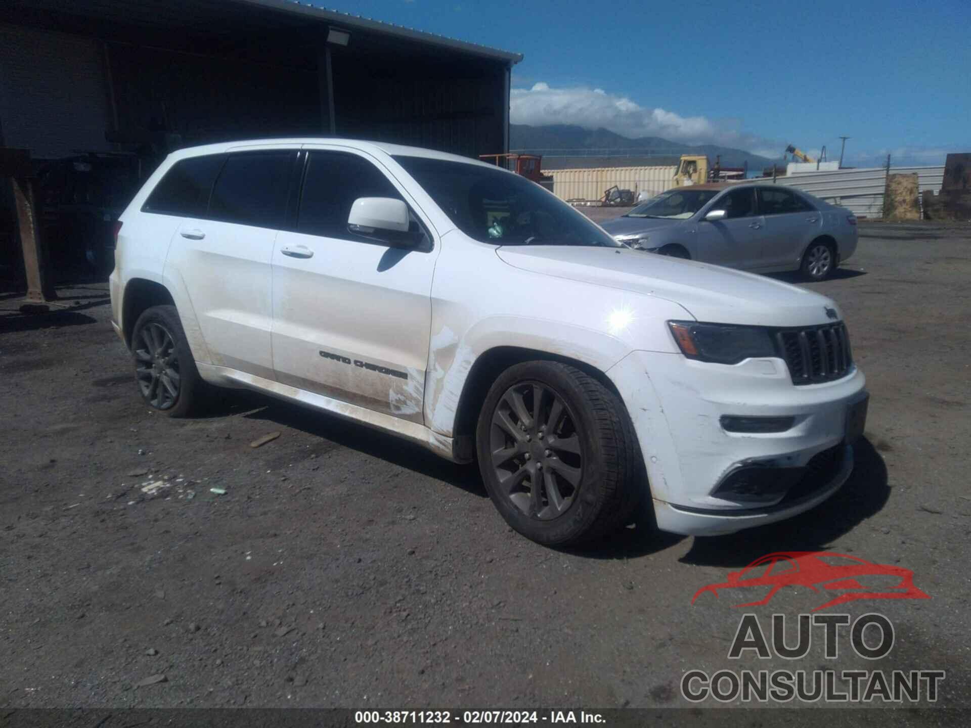 JEEP GRAND CHEROKEE 2019 - 1C4RJFCG3KC687251