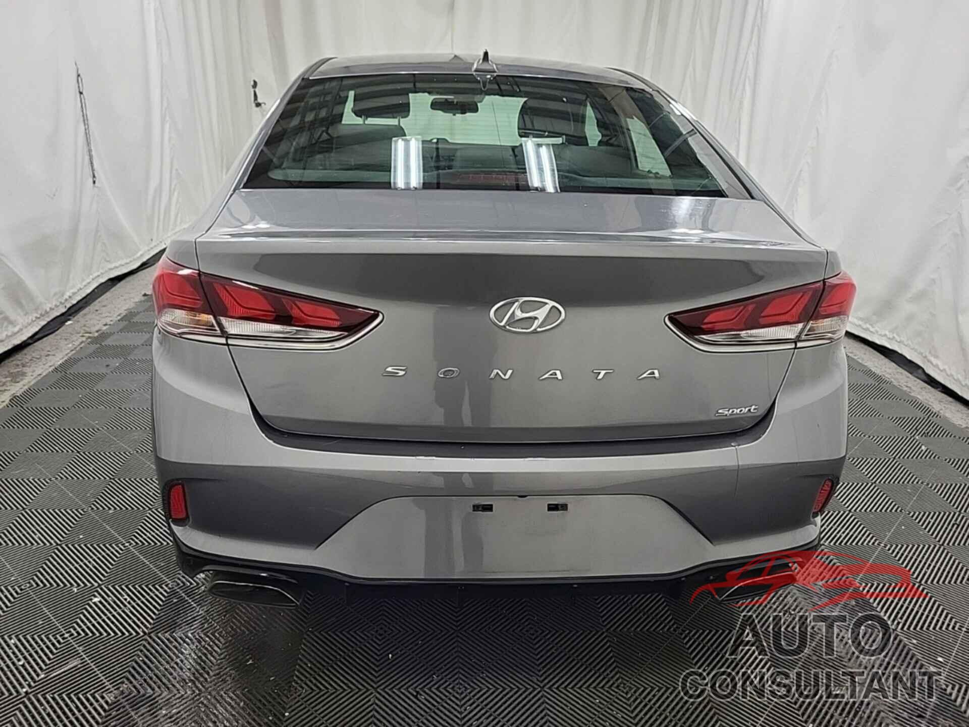 HYUNDAI SONATA 2019 - 5NPE34AF1KH762783