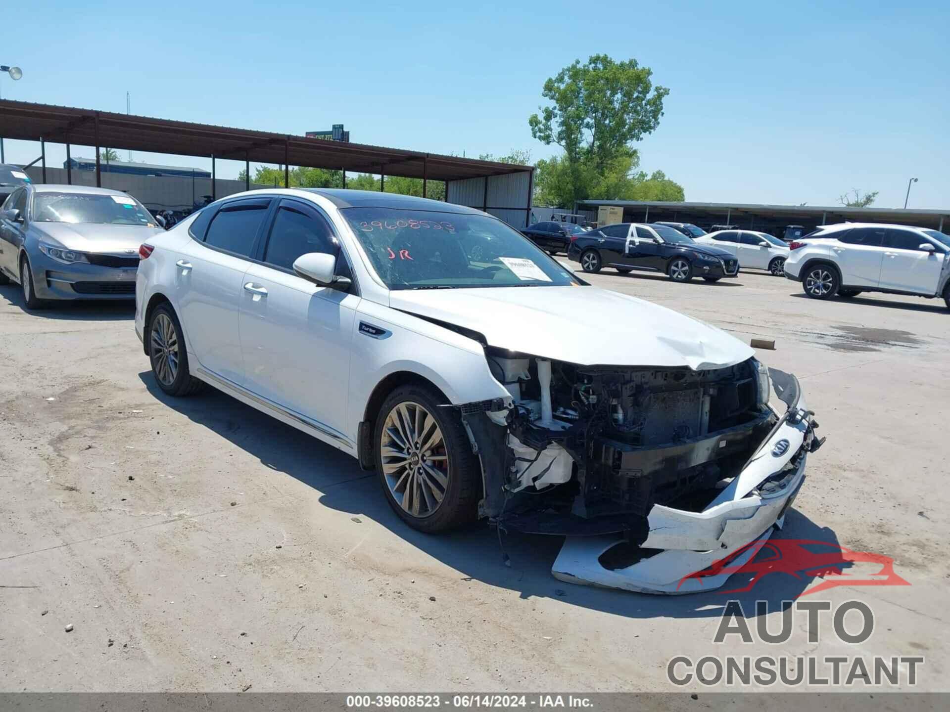 KIA OPTIMA 2019 - 5XXGV4L22KG342409