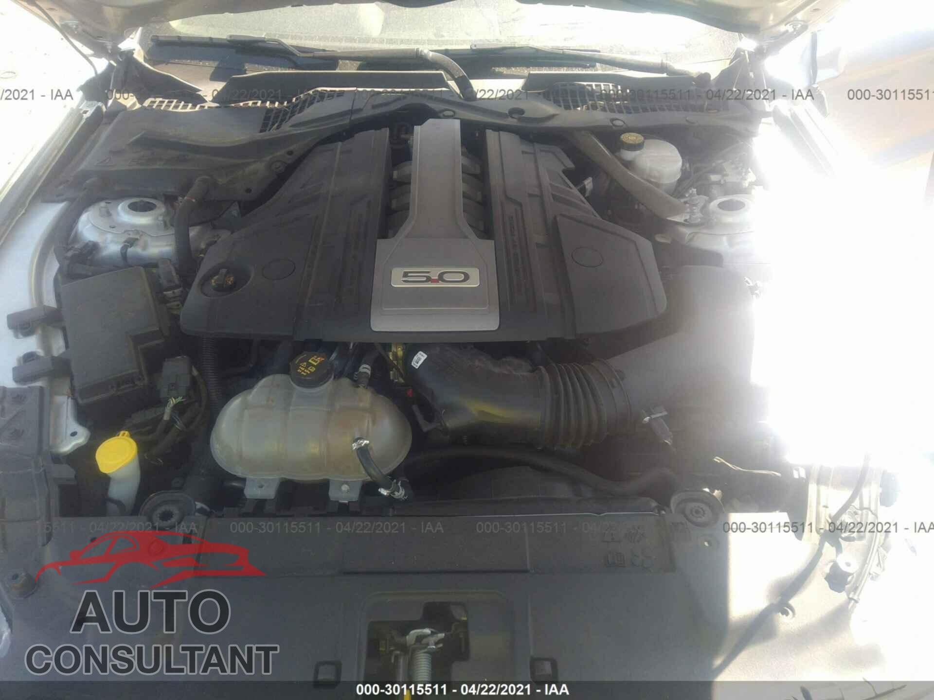 FORD MUSTANG 2019 - 1FA6P8CF2K5166472